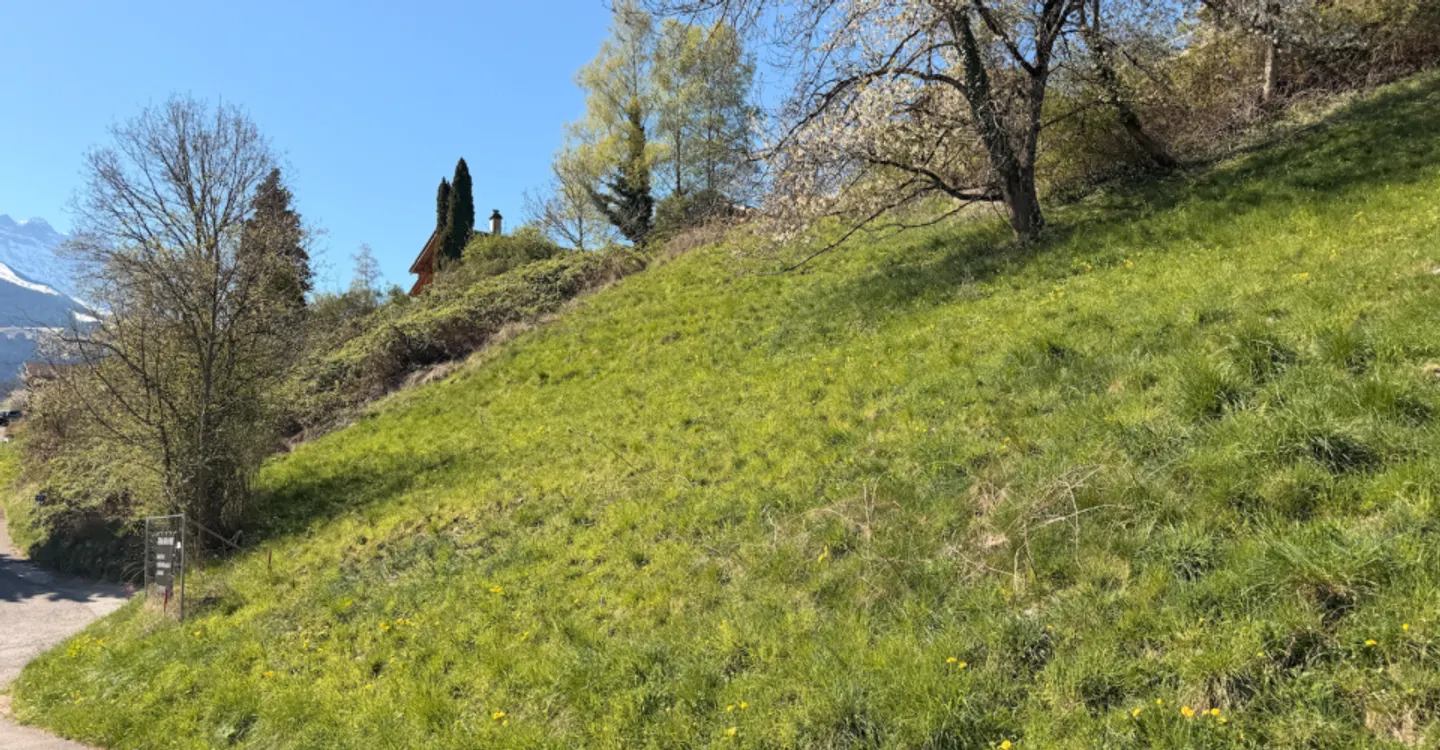 Bella parcella in vendita a Collombey (Les Neyres) - Foto 3 di 4