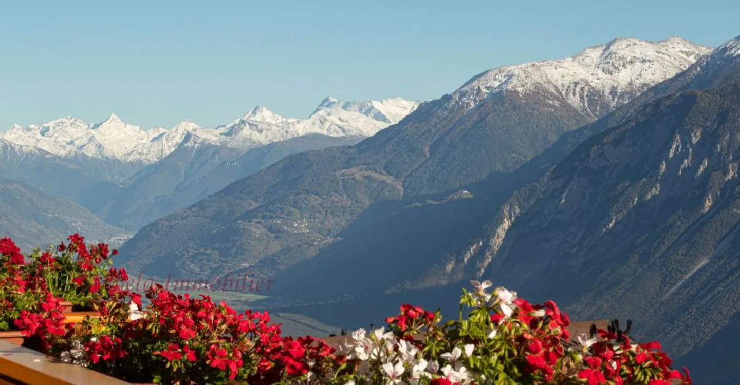 Les Asters Annual Rent center CHF 4'200. per month (Ref. 2225) - Foto 11 di 11