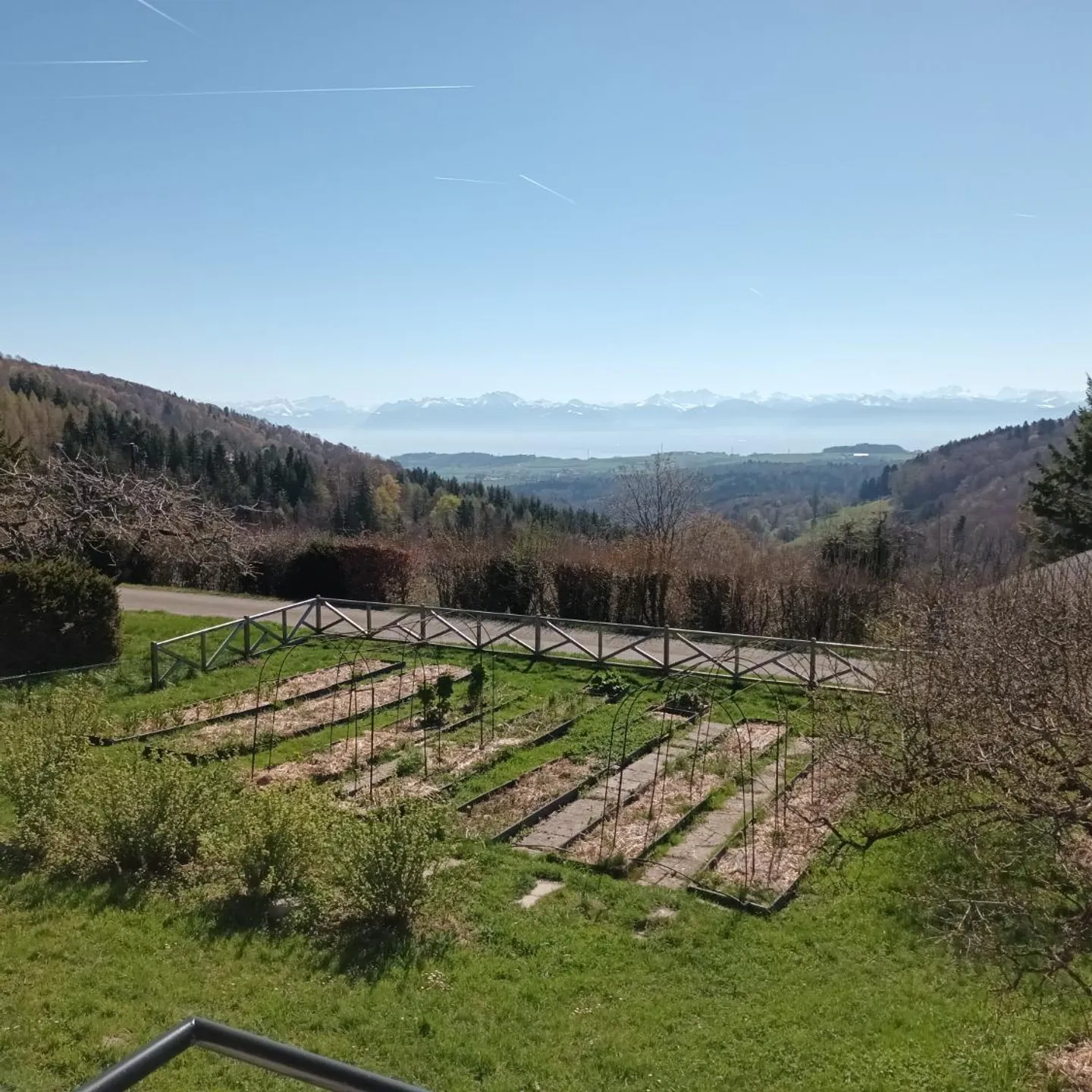 Stai cercando una villa con vista mozzafiato sul lago e sulle Alpi? - Foto 3 di 5