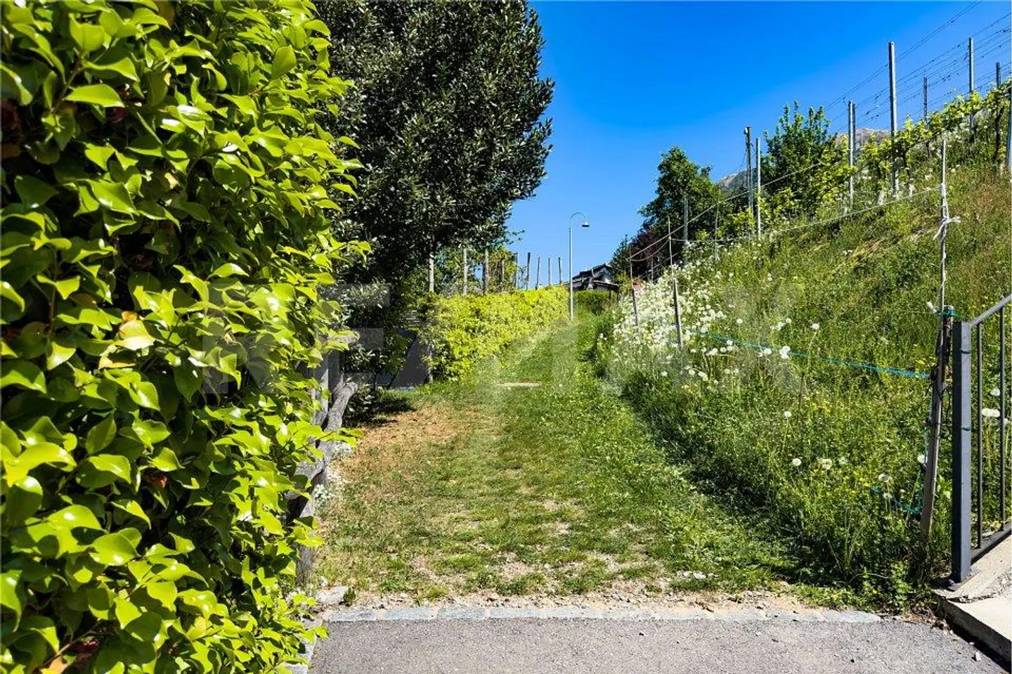 Baugrundstück mit Seeblick - Foto 7 von 8