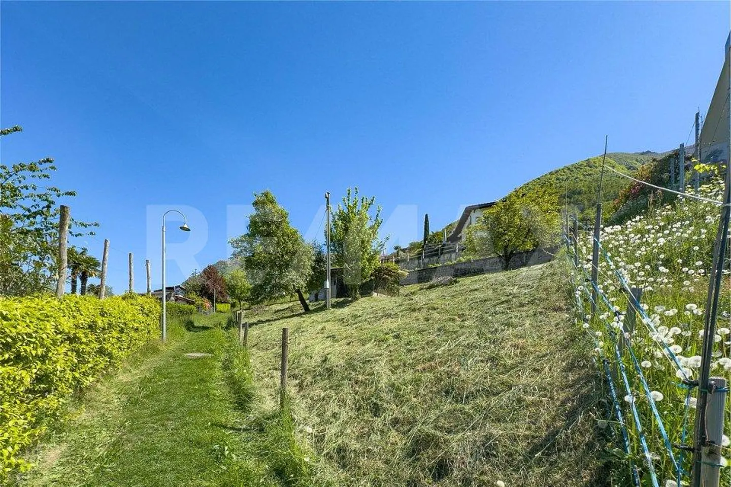 Baugrundstück mit Seeblick - Foto 8 von 8