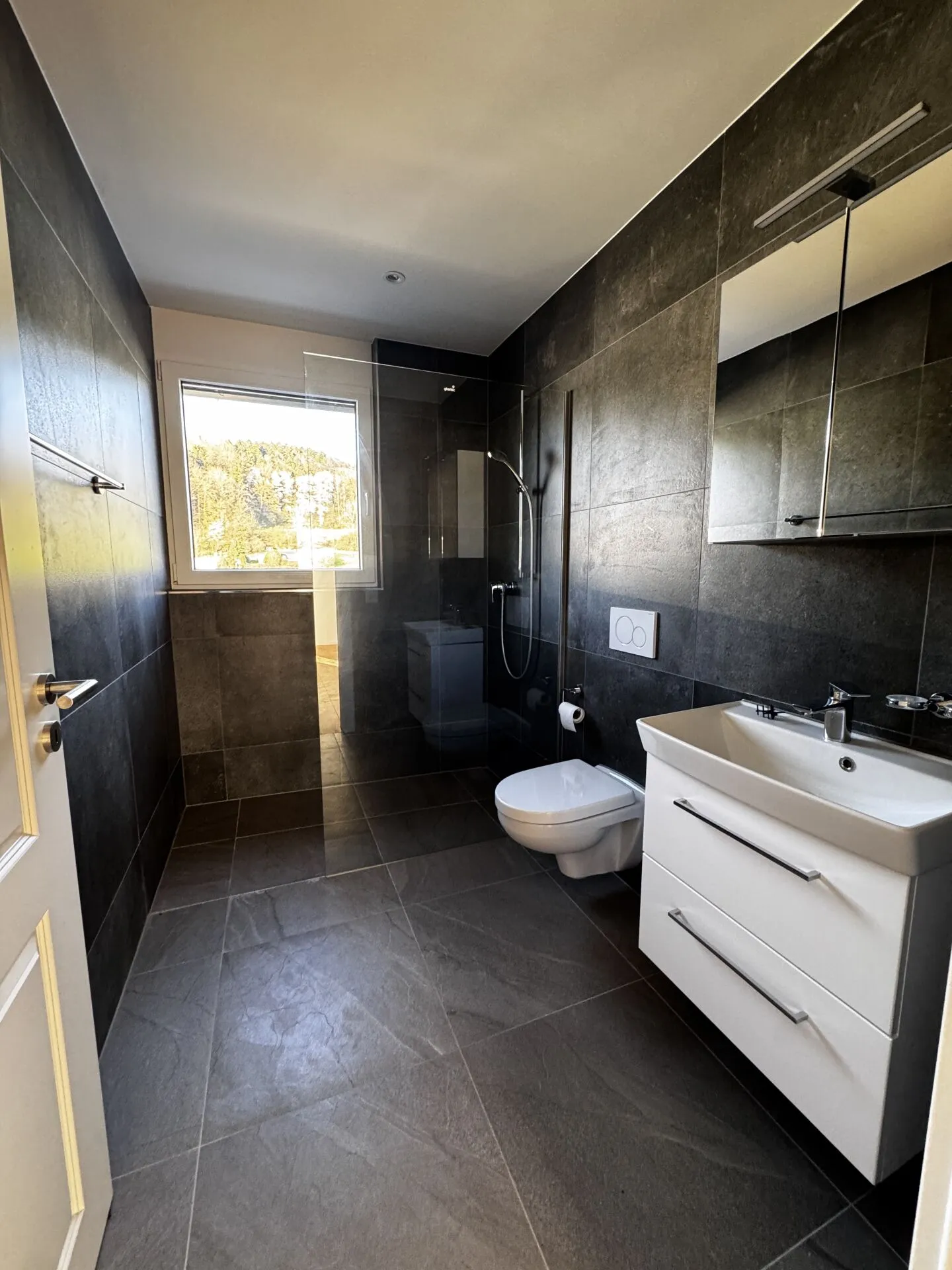 Vivre avec une vue - Appartement penthouse stylé de 3,5 pièces dans la verdure - Photo 4 sur 11