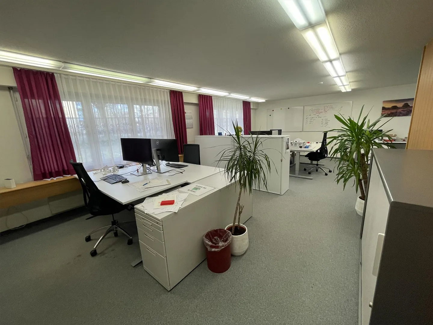 Espaces de bureau - Photo 3 sur 20