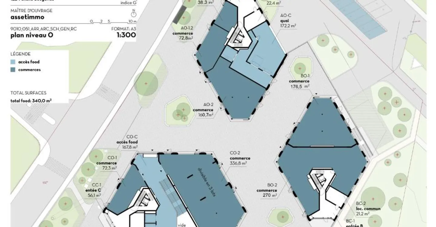 Commercial Arcade in Chêne-Bougeries - Photo 7 of 7