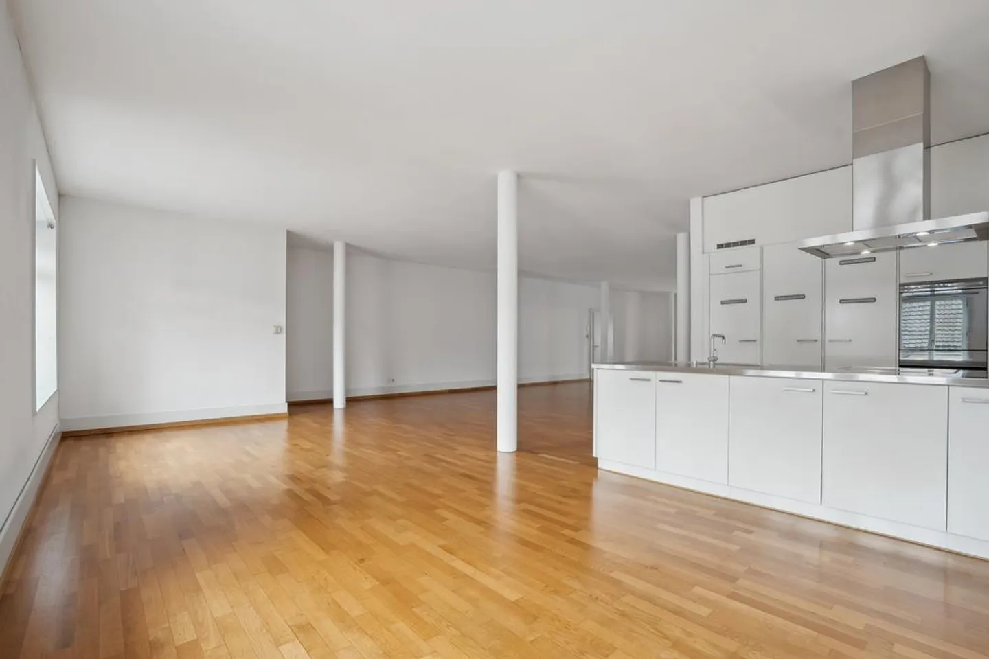 Charming Loft Apartment near Sihl City - Photo 3 of 10