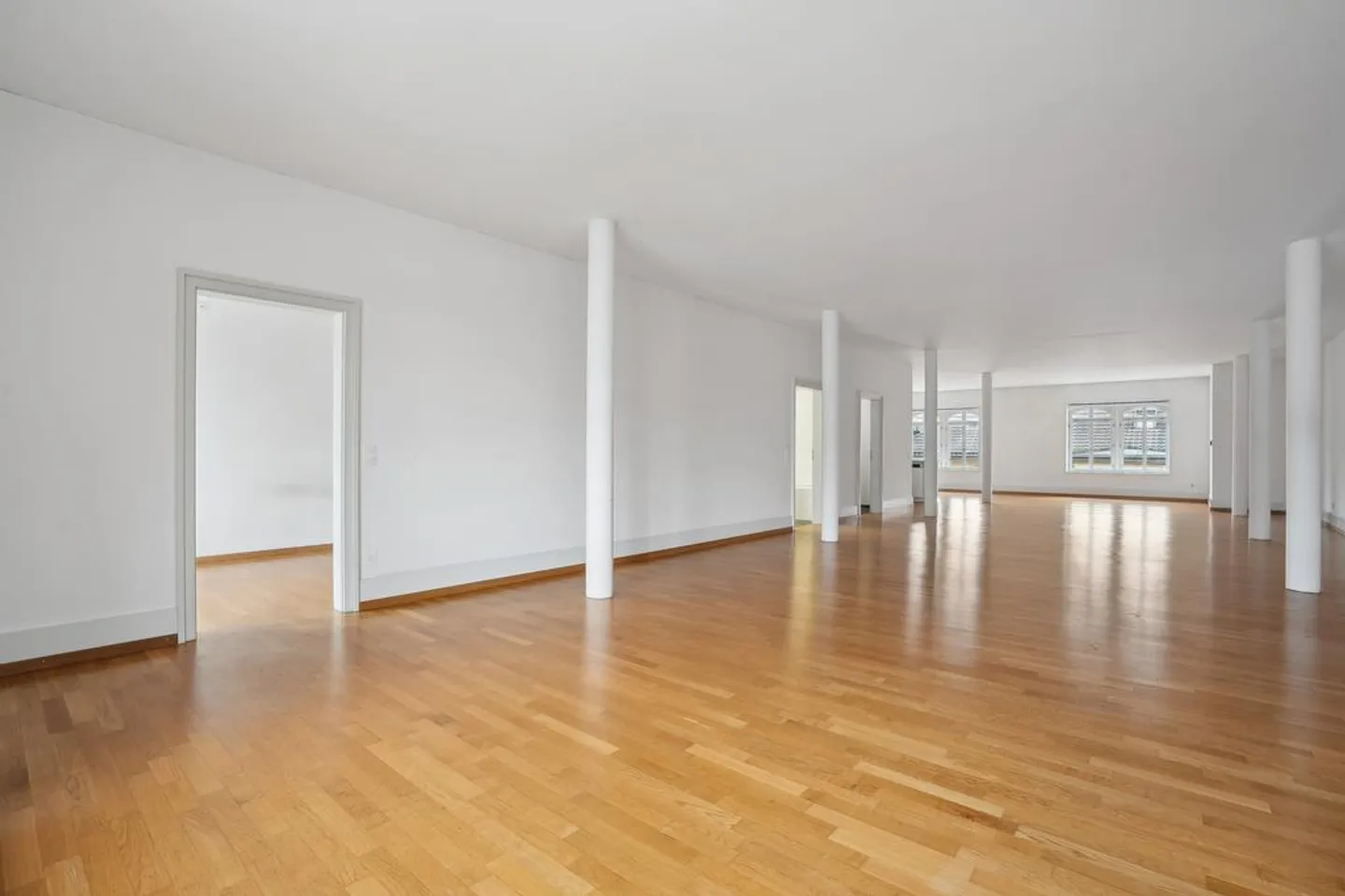 Charming Loft Apartment near Sihl City - Photo 5 of 10