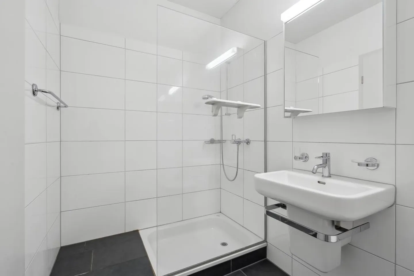 Charming Loft Apartment near Sihl City - Photo 7 of 10