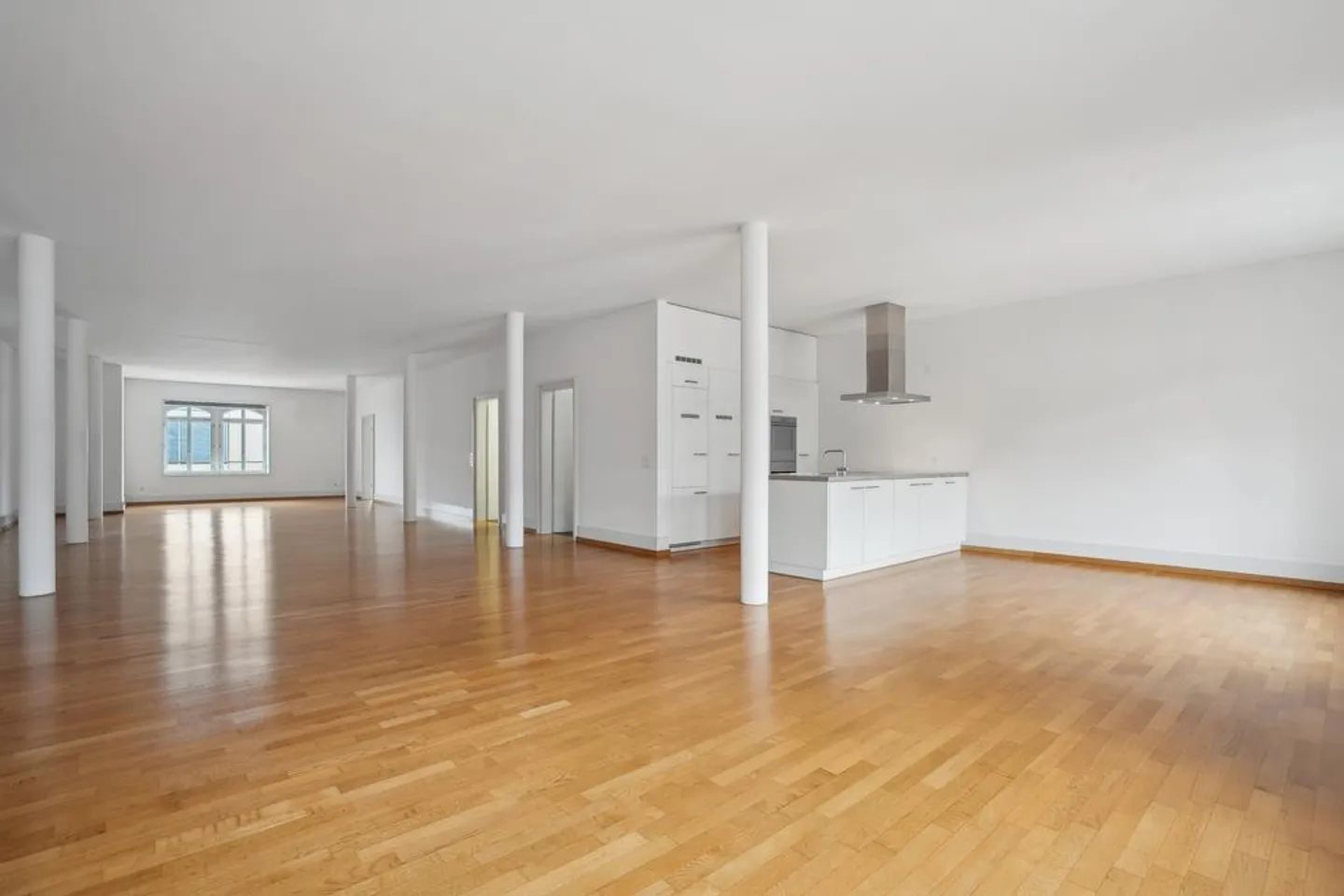 Charming Loft Apartment near Sihl City - Photo 2 of 10