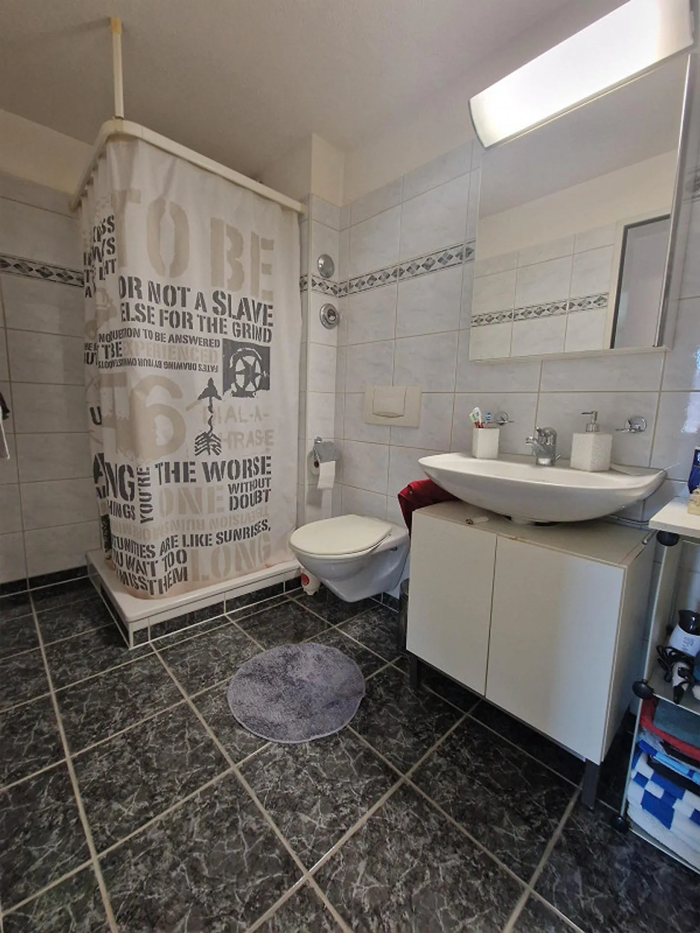 4.5 Room Apartment in Flums - Photo 4 of 11