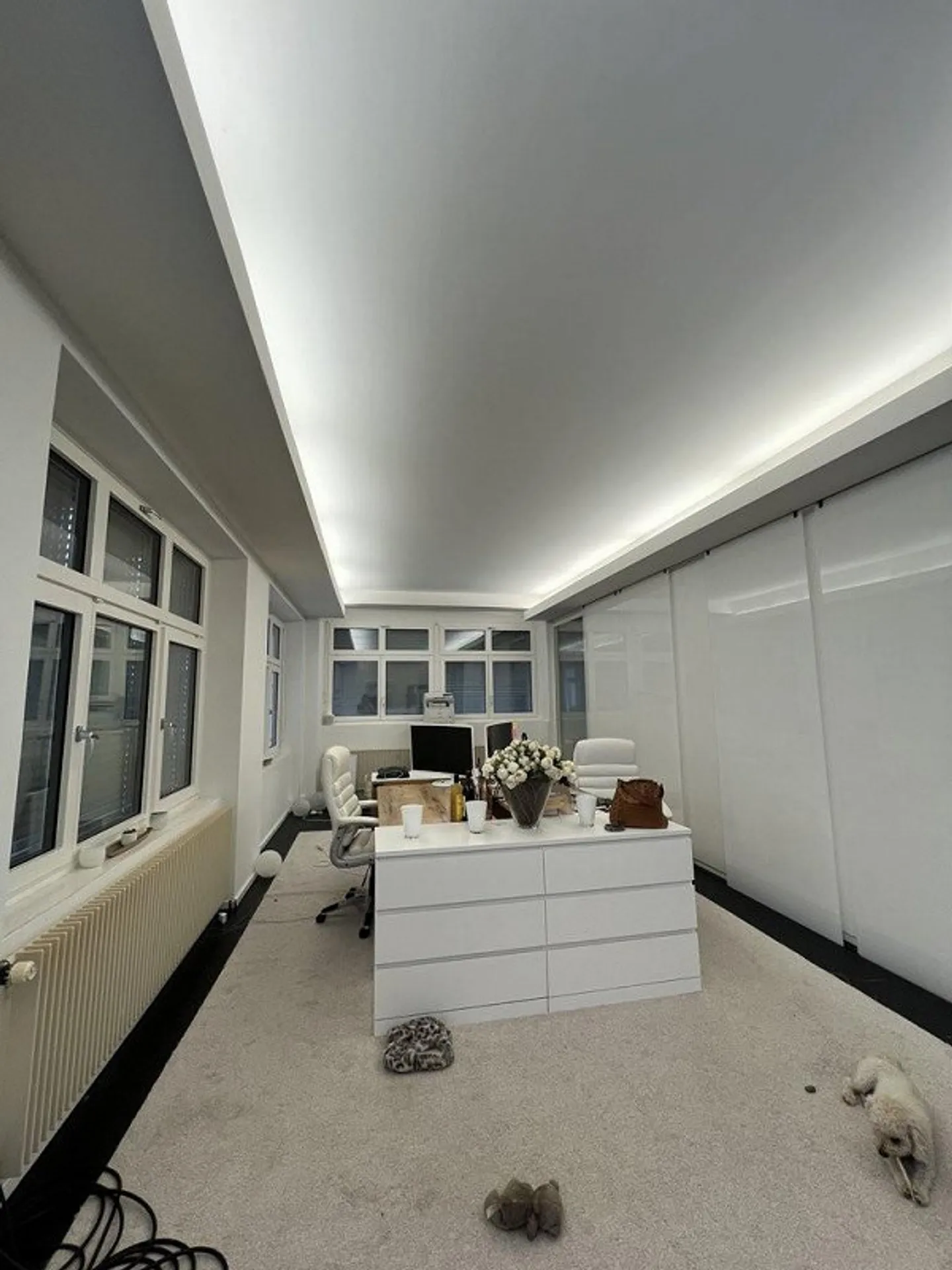 Moderno e ben collegato - Il tuo nuovo ufficio a Wollishofen - Foto 2 di 9