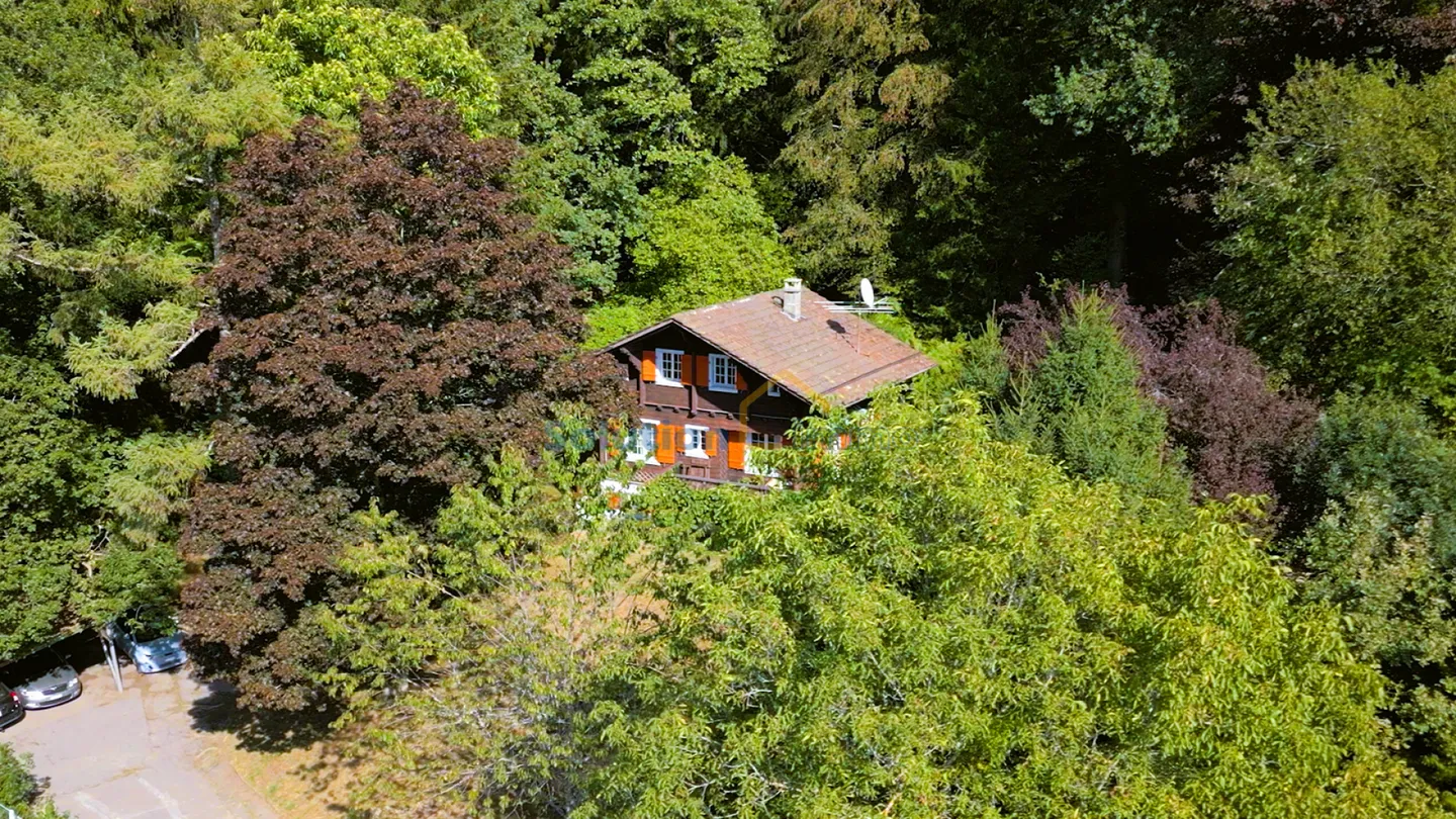 Adjacent Villa, Plot No. 2 with 4.5 Rooms - Photo 9 of 20