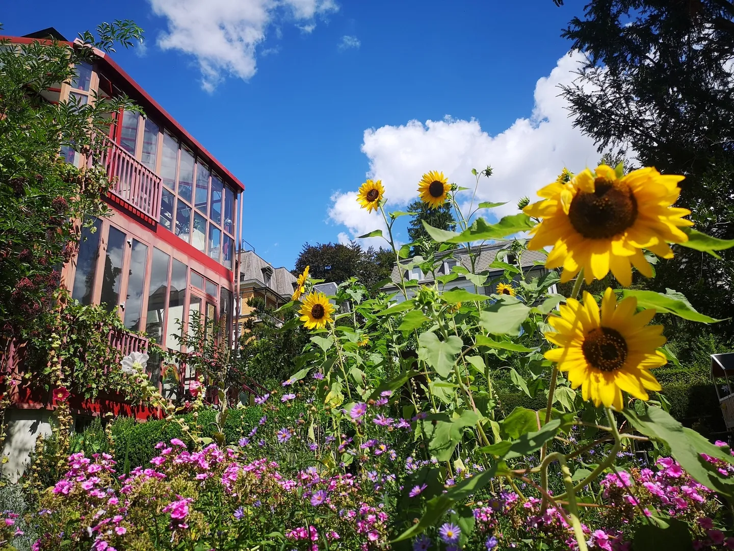 Stylish Apartment with Garden - Photo 7 of 10