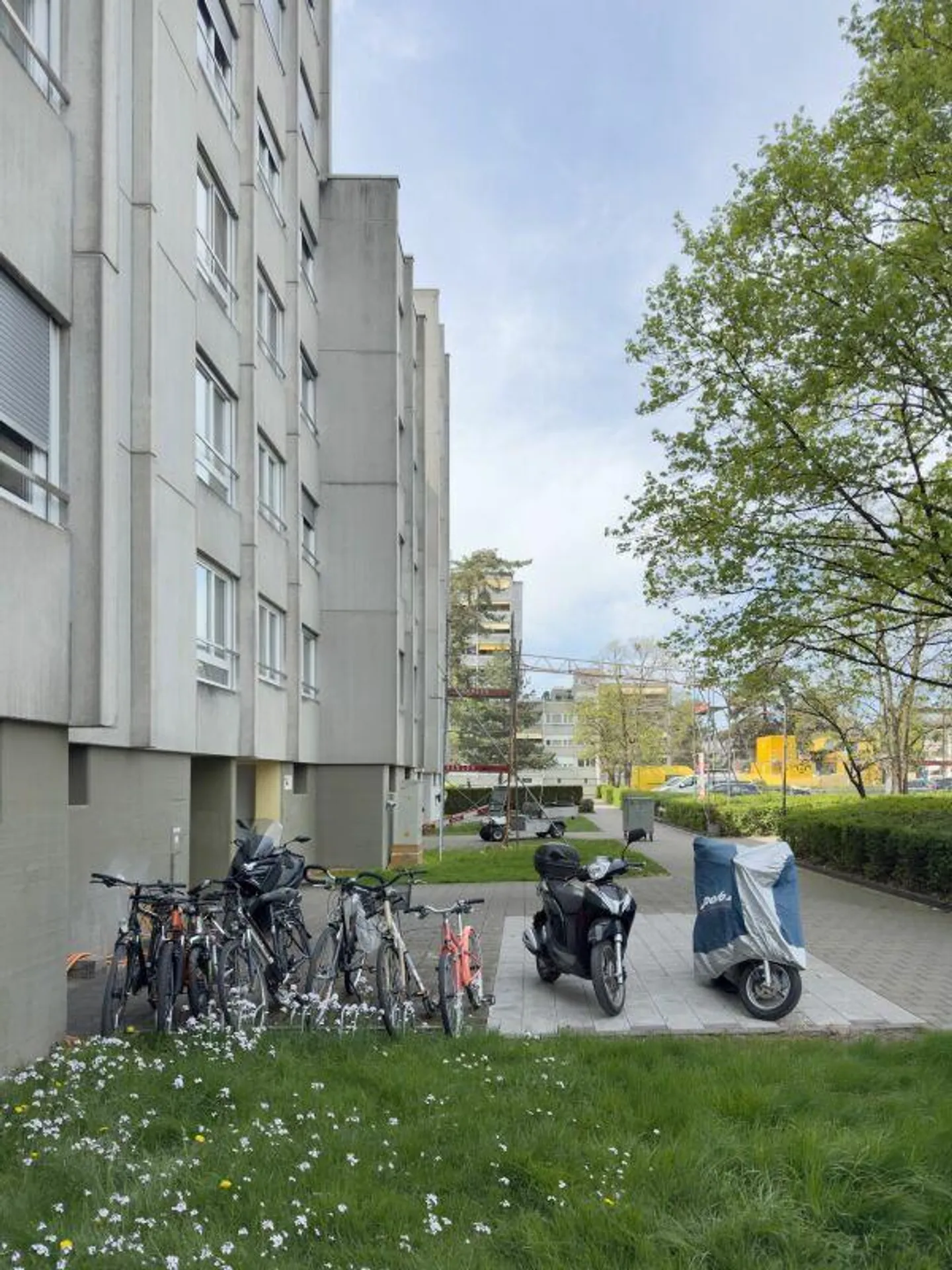 Gemütliche Wohnung in Bümpliz - Foto 16 von 16
