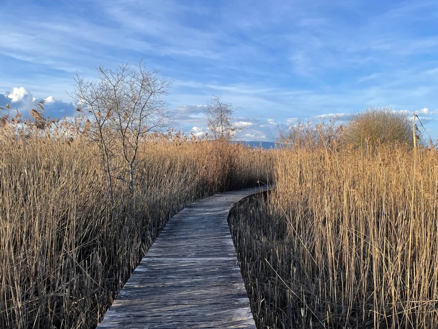 Casa 3.5 locali - Foto 12 di 13