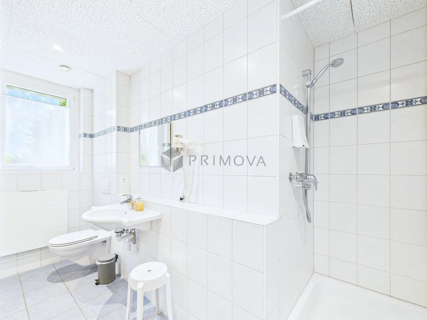 Hotel & Ristorante con Appartamenti, Vigneto e Terreno Edificabile in Posizione Premium sul Lago Walensee - Foto 15 di 30