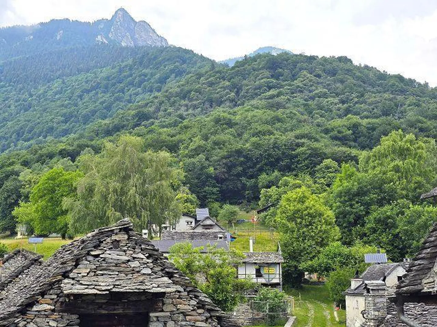 2 Rustiques dans un emplacement très calme et ensoleillé avec vue / 2 rustici con t... - Photo 22 sur 36