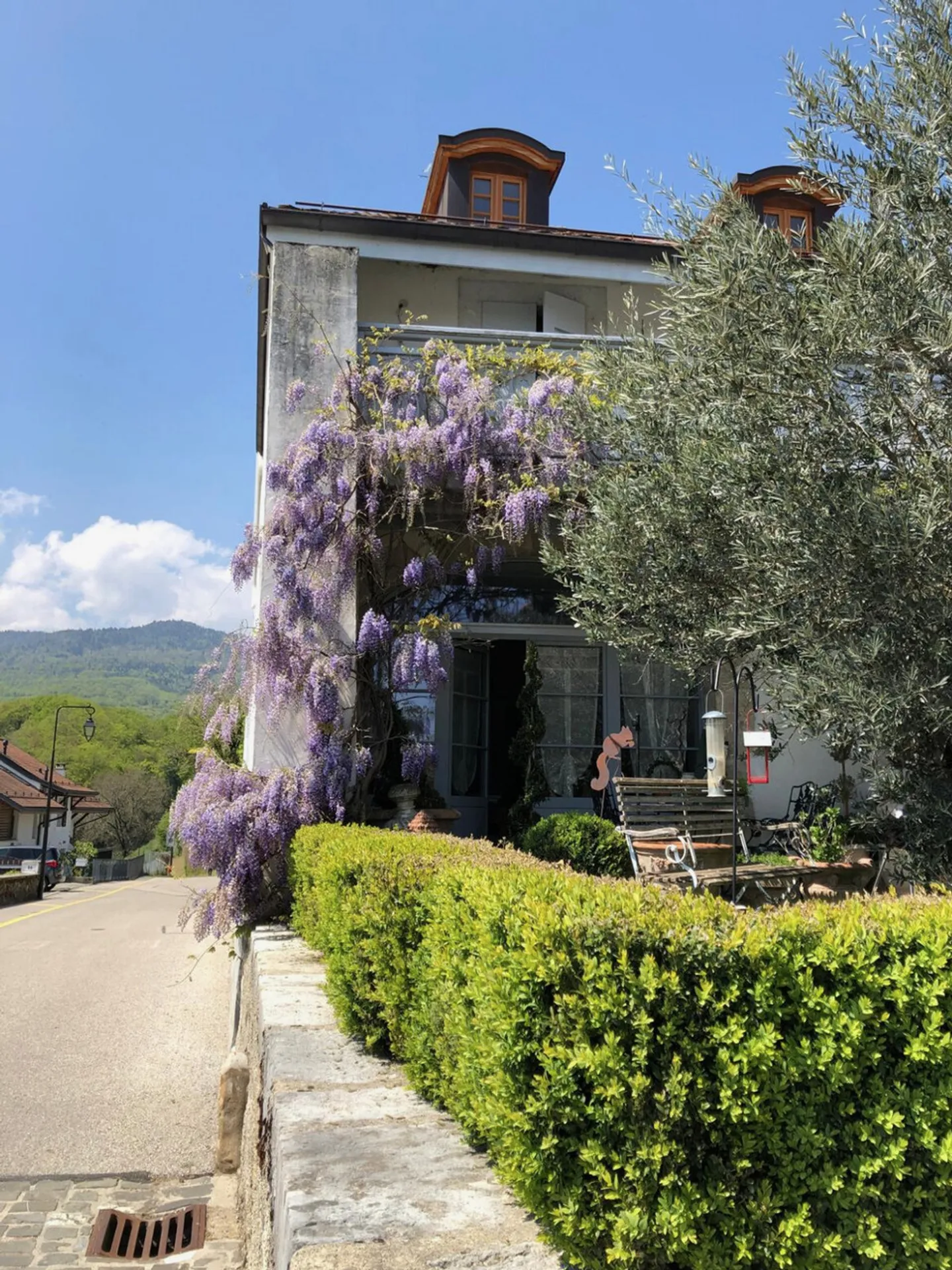 RUHE / BEGEHRTE LAGE - Foto 1 von 8