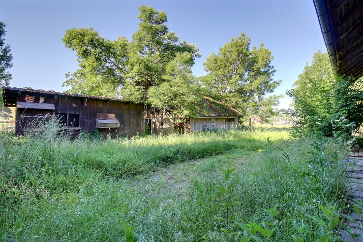 Farm for sale - Photo 34 of 67