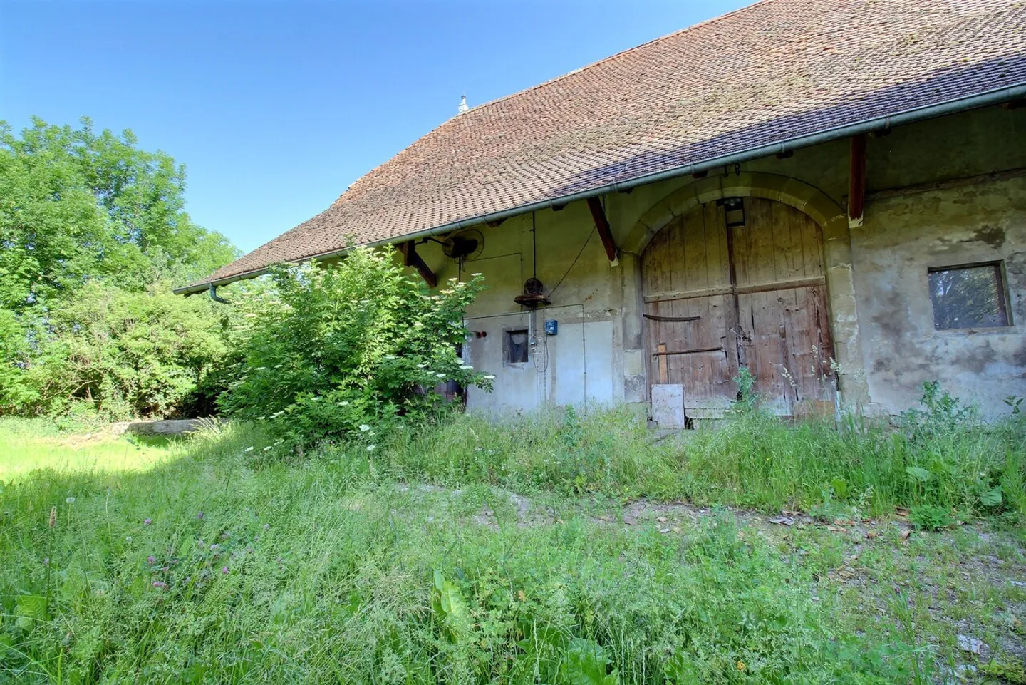 Farm for sale - Photo 36 of 67