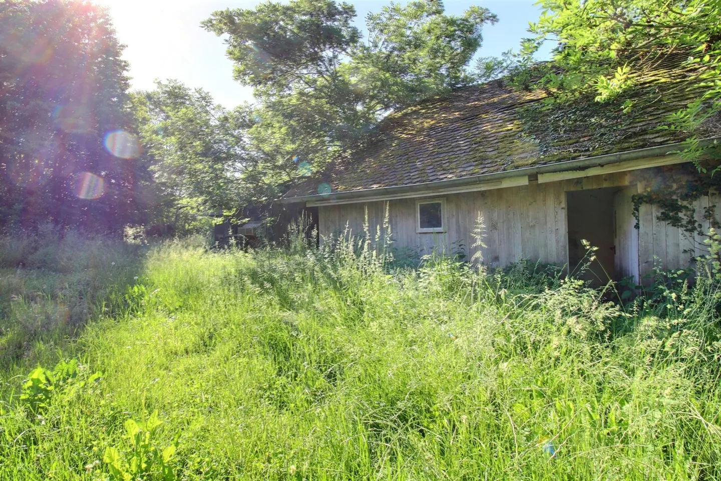 Farm for sale - Photo 38 of 67