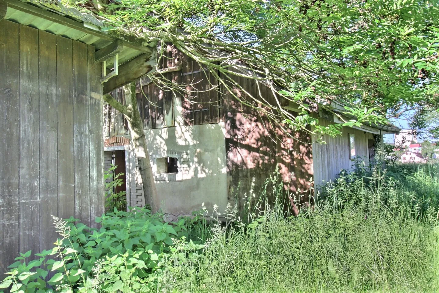 Farm for sale - Photo 37 of 67