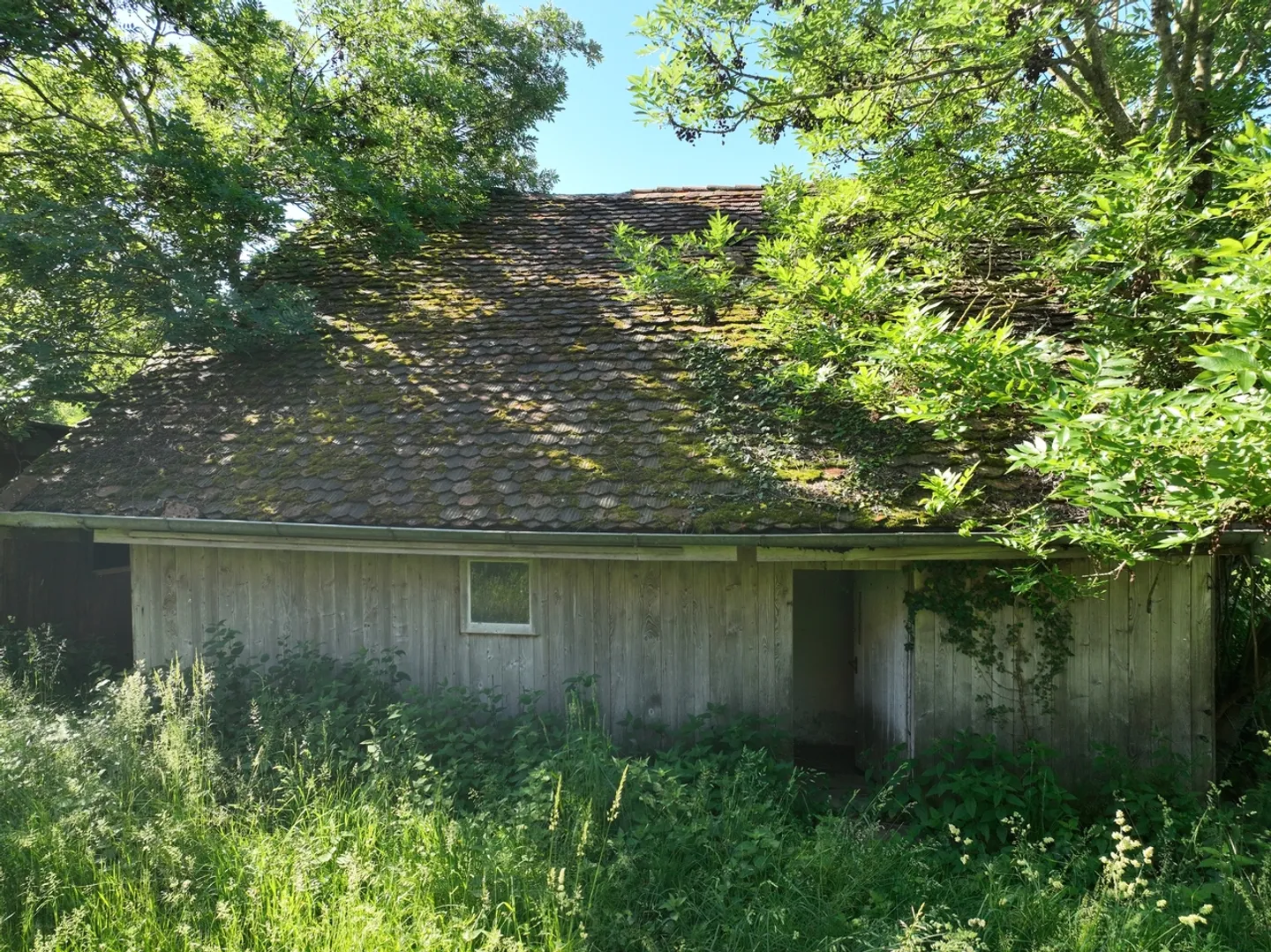 Farm for sale - Photo 57 of 67