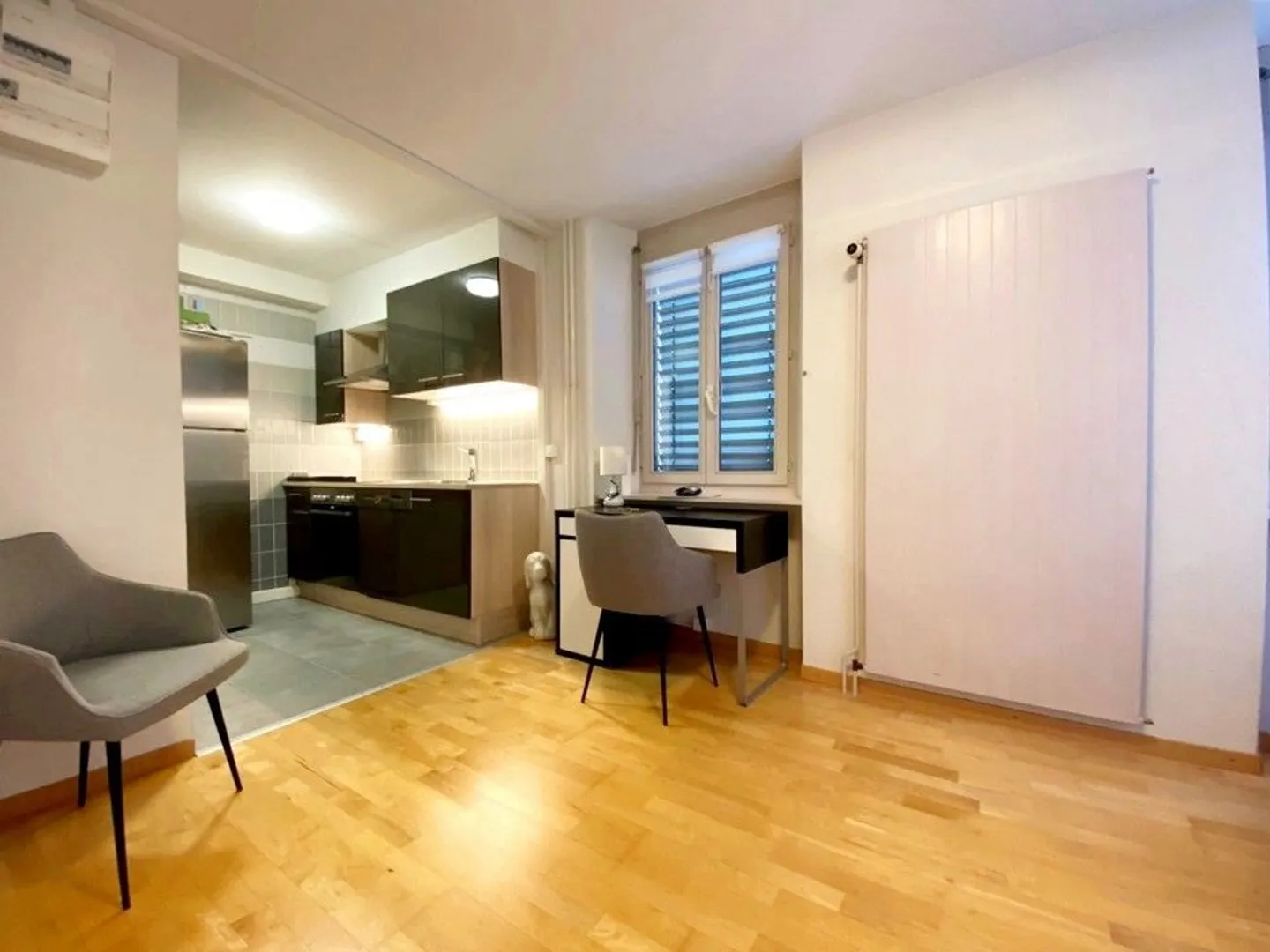 Wunderschönes möbliertes Studio // Stadtzentrum von Nyon - Foto 1 von 4