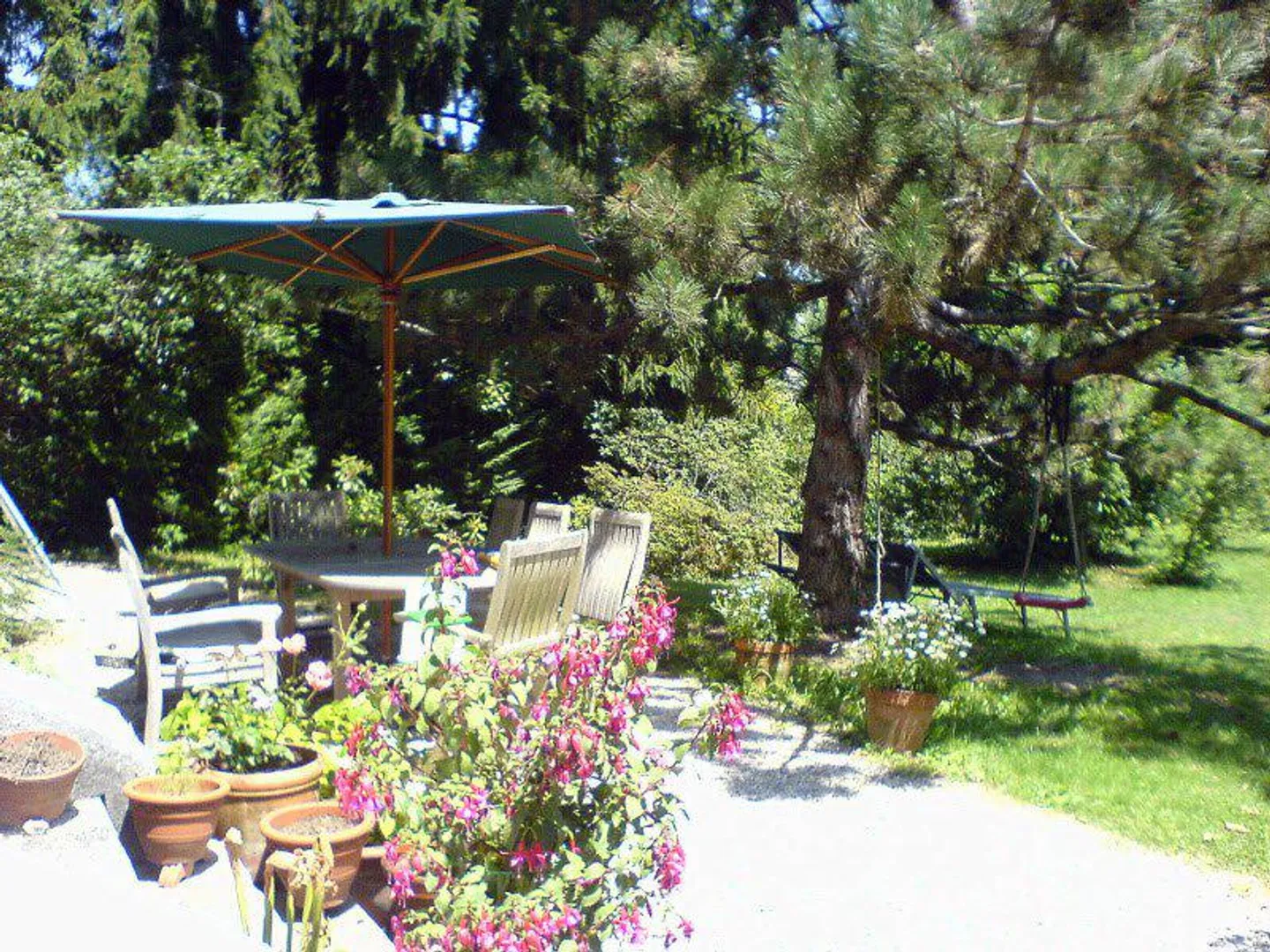 Sehr schöne charmante Immobilie in Versoix - Foto 3 von 12