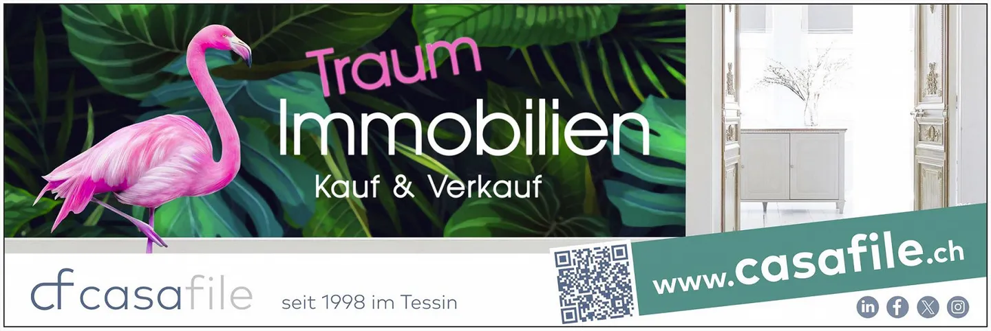 Beautiful single-family/holiday home with pool and view of Lake Maggiore - Photo 19 of 19