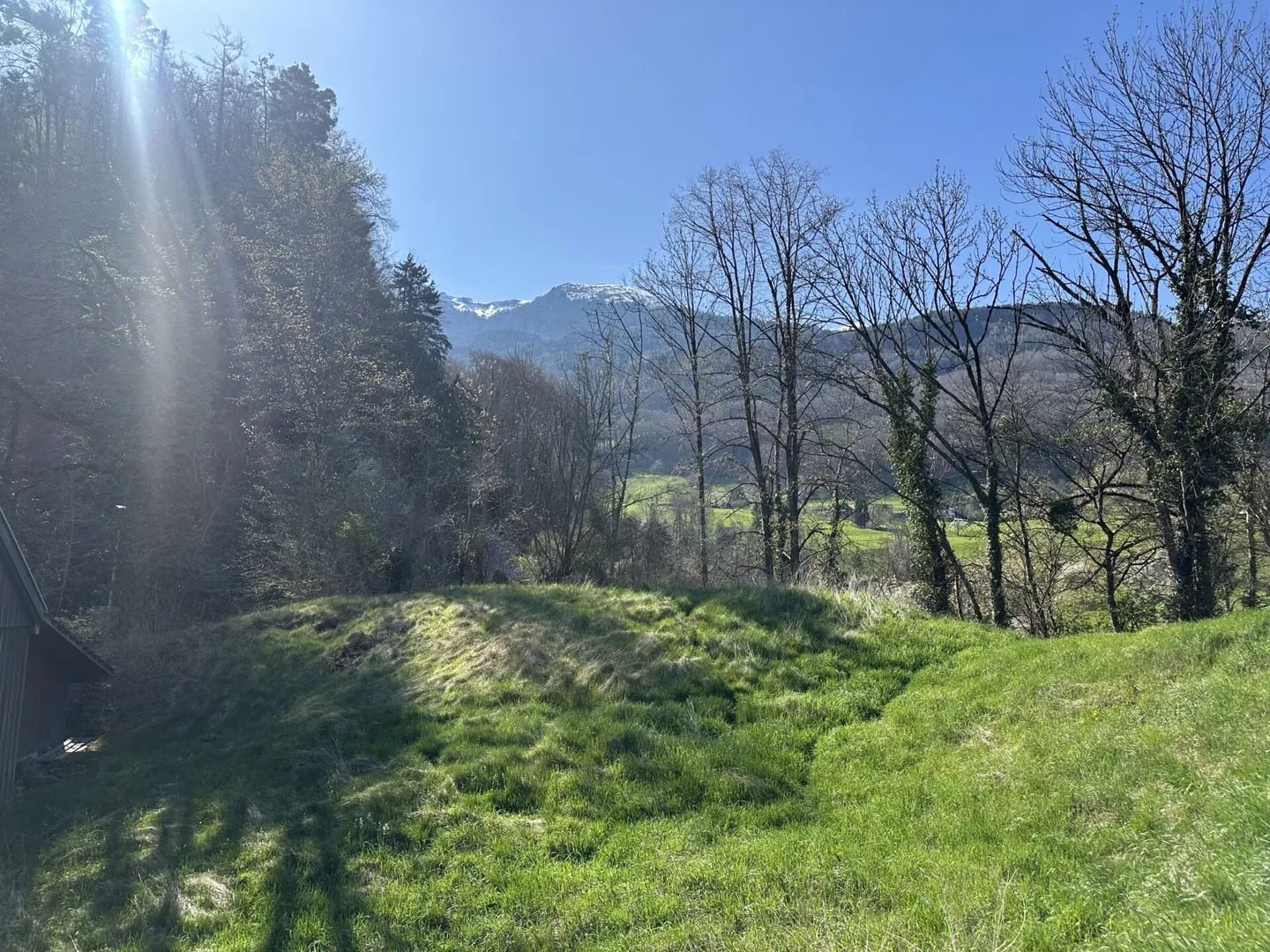 Charmante 3½-Zimmer-Wohnungen - Foto 6 von 6