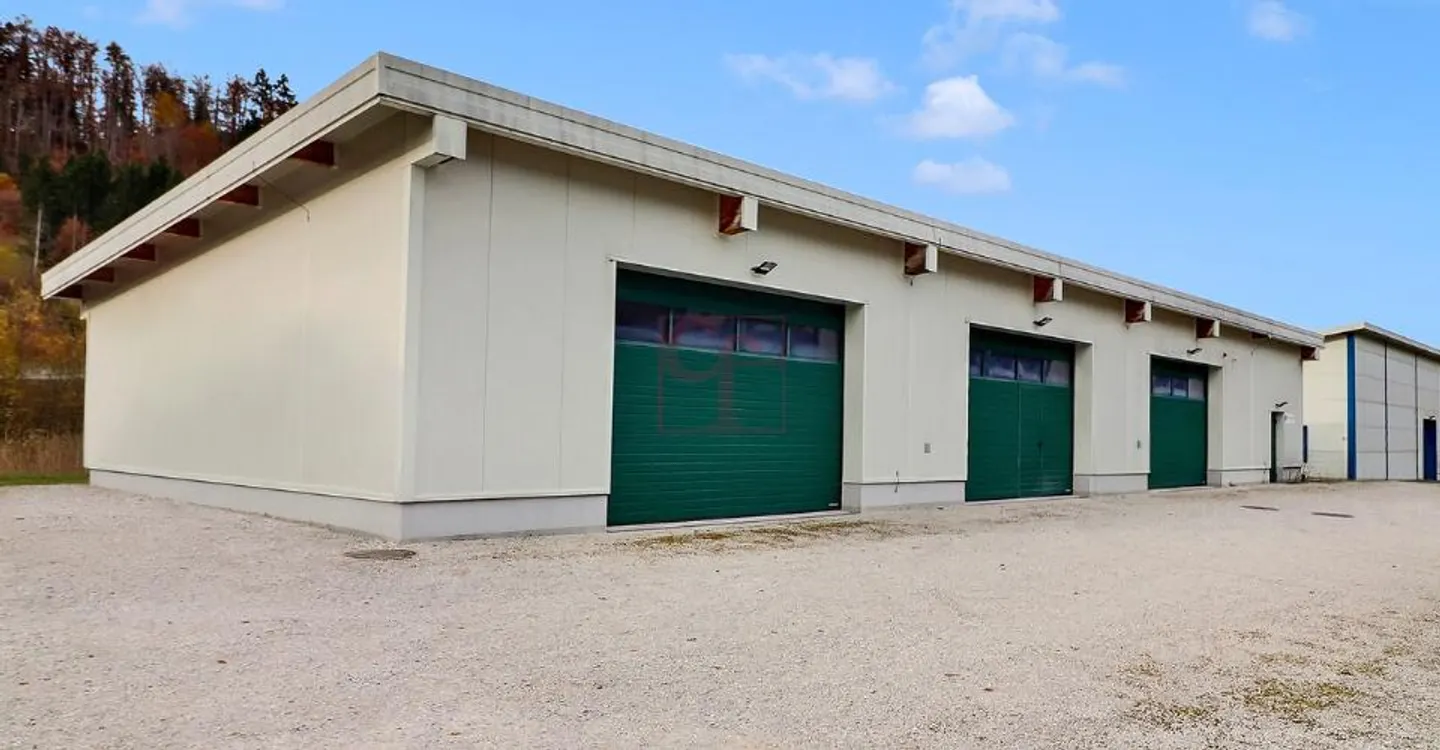 Modern workshop warehouse in Enney - Ideally located near Bulle - Photo 2 of 6