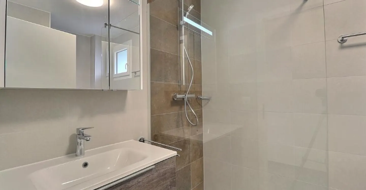 Magnifique appartement de 1 pièce au rez - Photo 3 sur 4