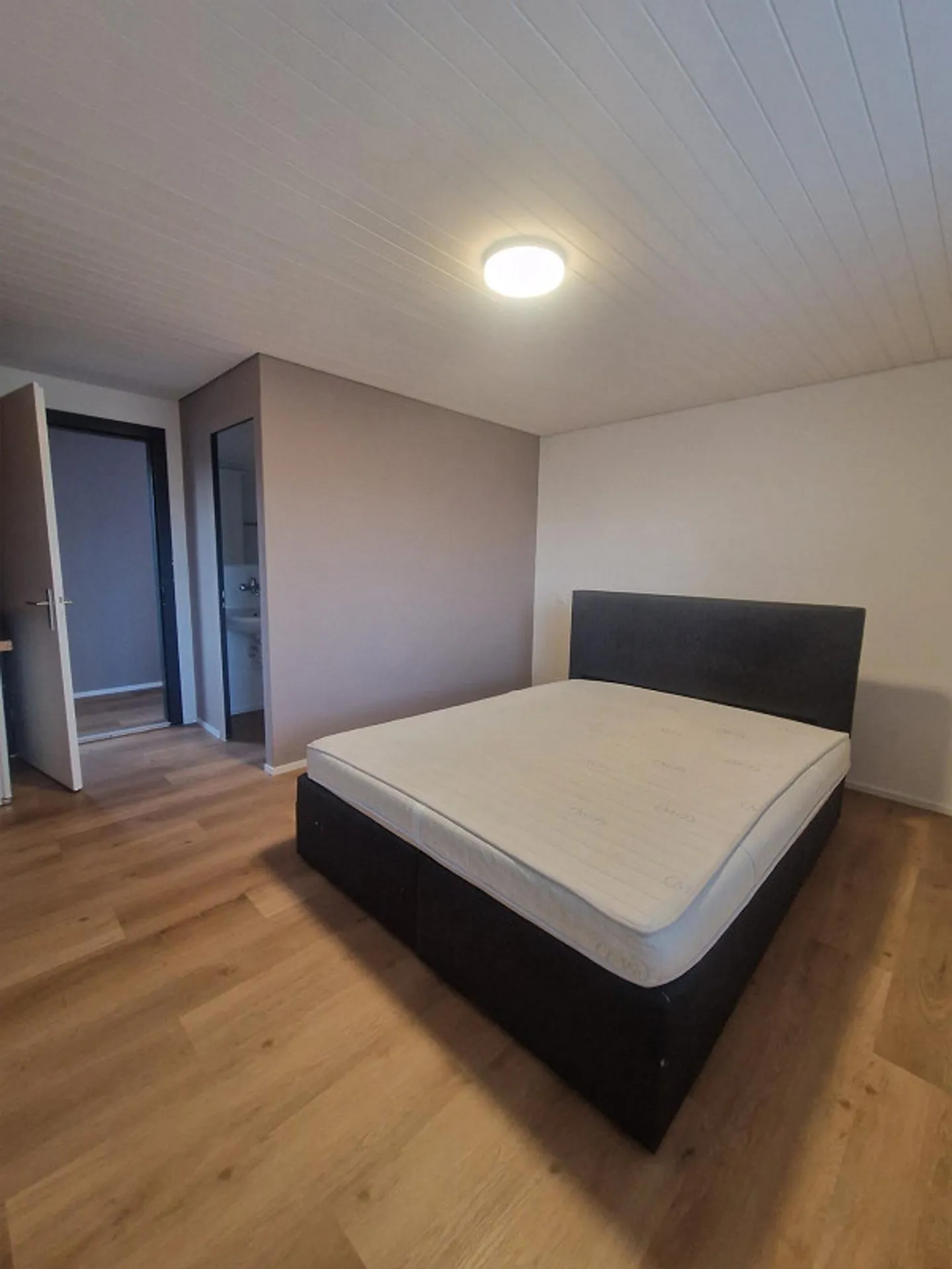 Great single room - central location, right next to the train station - Photo 1 of 3