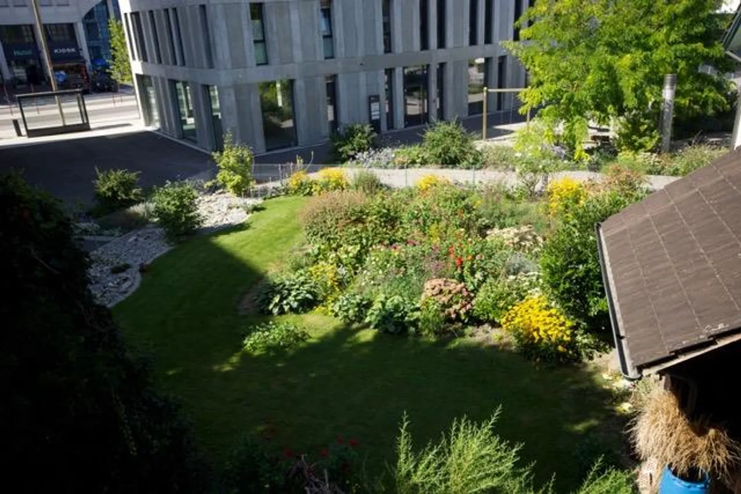 Newly renovated, centrally located 2.5 room apartment with large balcony - Photo 3 of 17