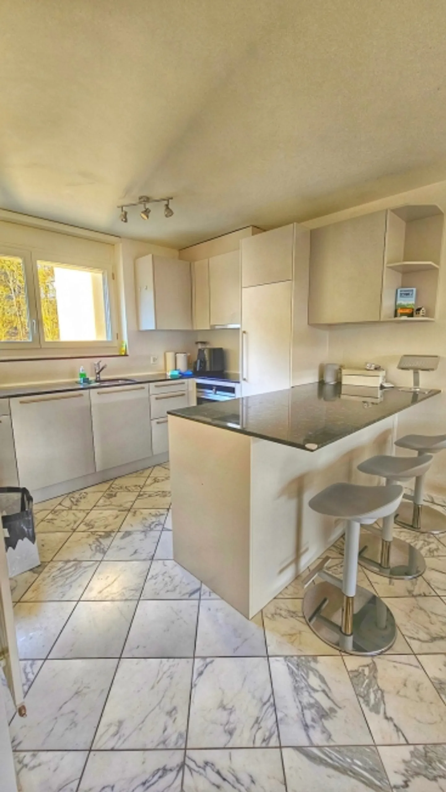 2½ ROOM APARTMENT IN BERN - BERN-FELSENAU, FURNISHED, TEMPORARY - Photo 2 of 7