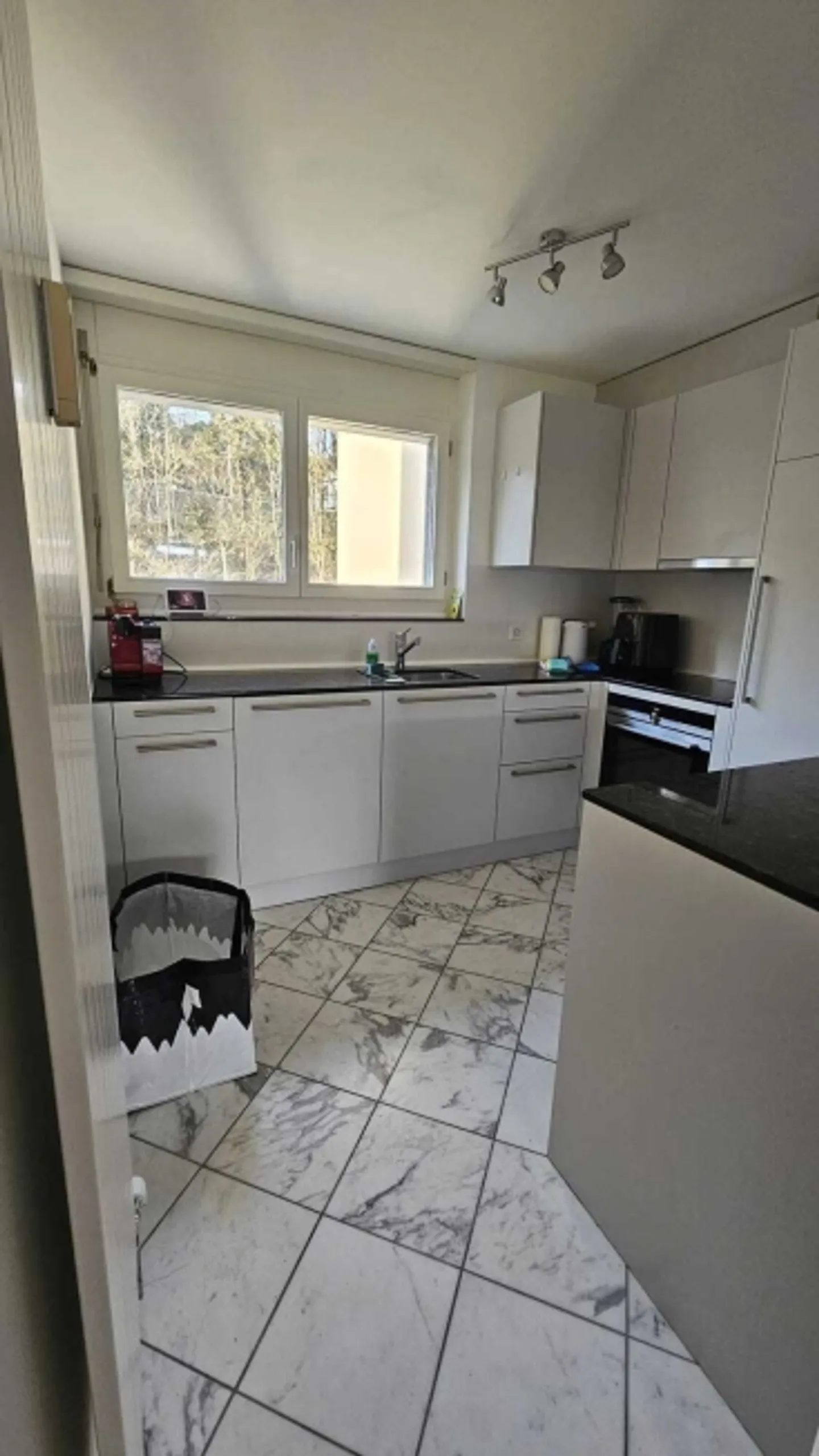 2½ ROOM APARTMENT IN BERN - BERN-FELSENAU, FURNISHED, TEMPORARY - Photo 3 of 7