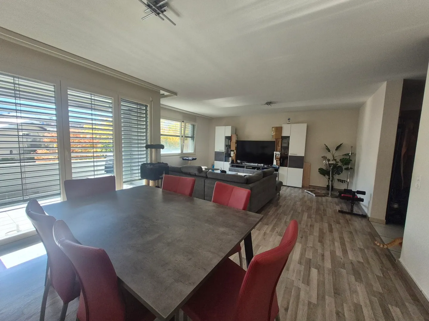 ZENTRUM / WUNDERSCHÖNE 5.5 ZIMMER WOHNUNG - Foto 3 von 7