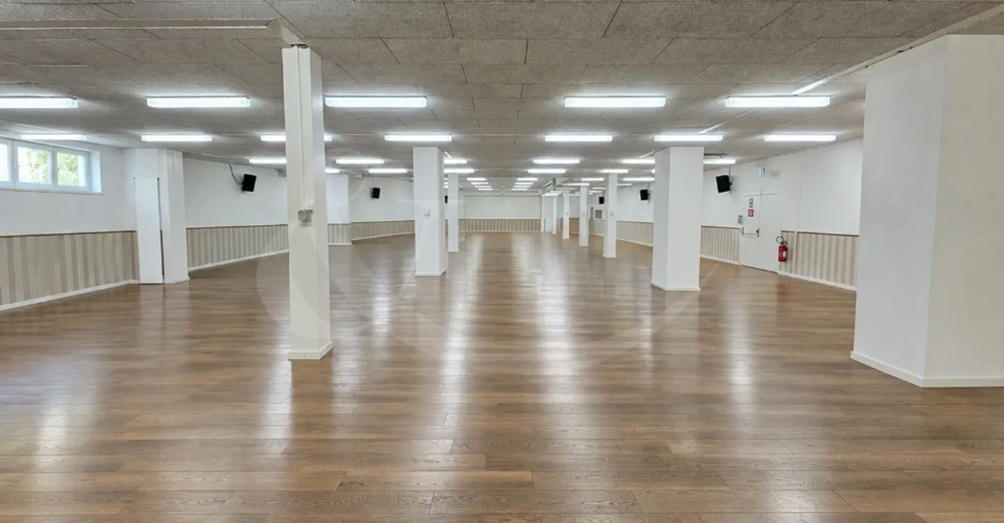 Espace Commercial à Carouge - Photo 2 sur 5