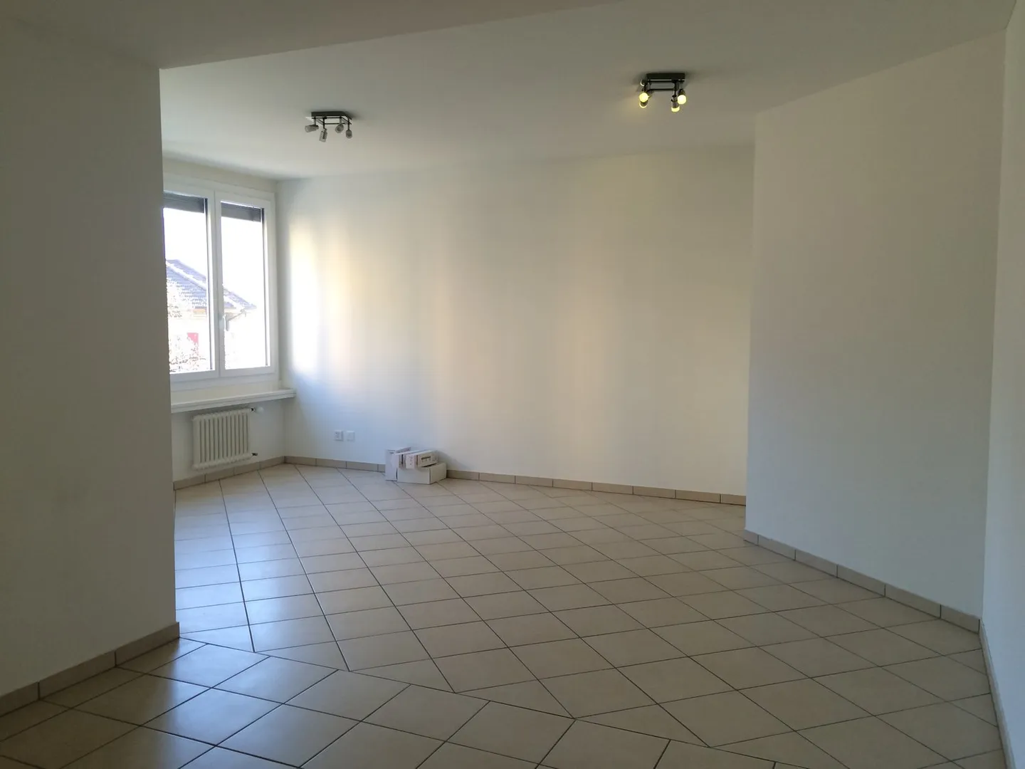 2.5 ZONE STRATÉGIQUE À MASSAGNO - Photo 2 sur 5