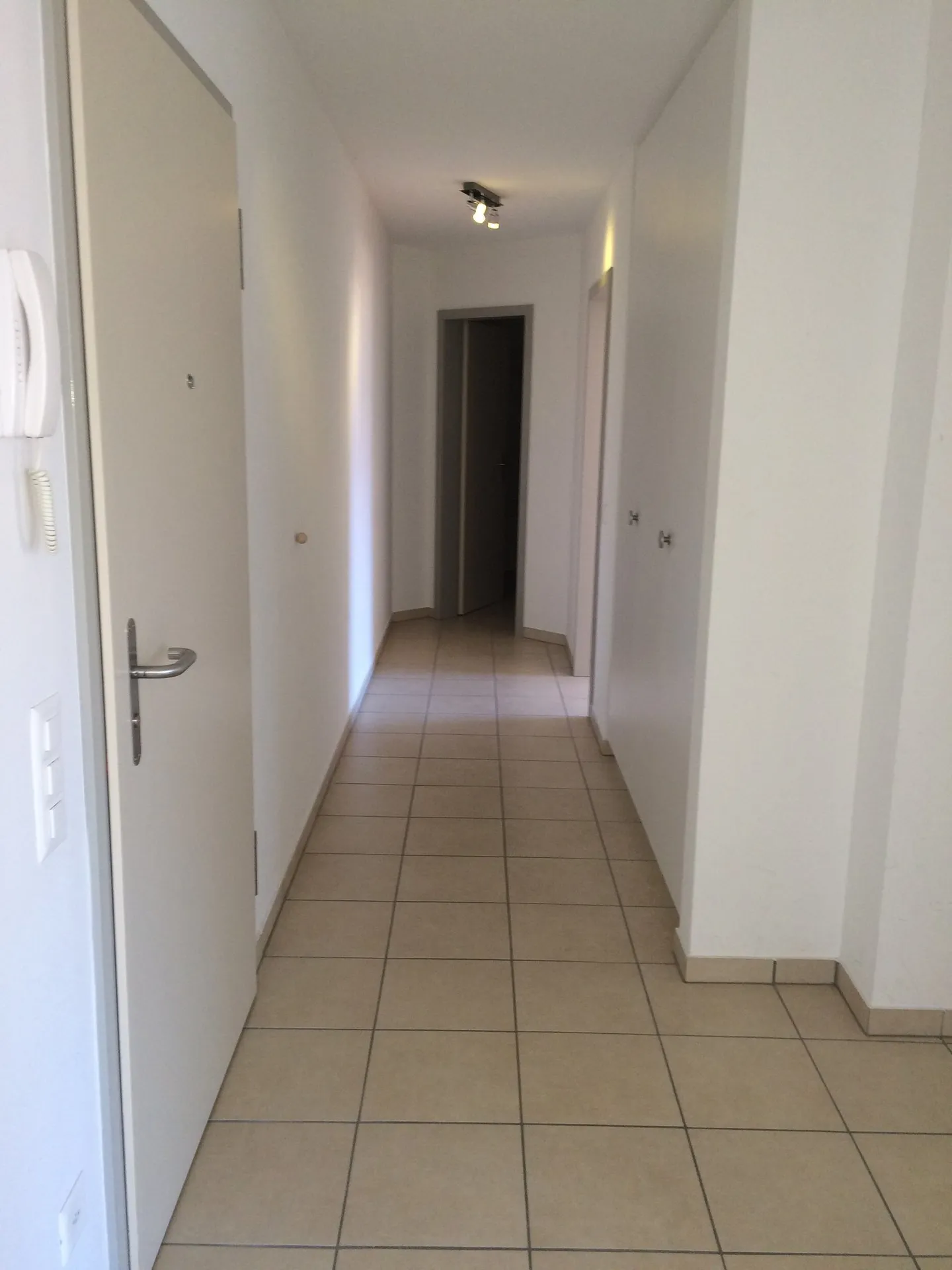 2.5 ZONE STRATÉGIQUE À MASSAGNO - Photo 3 sur 5