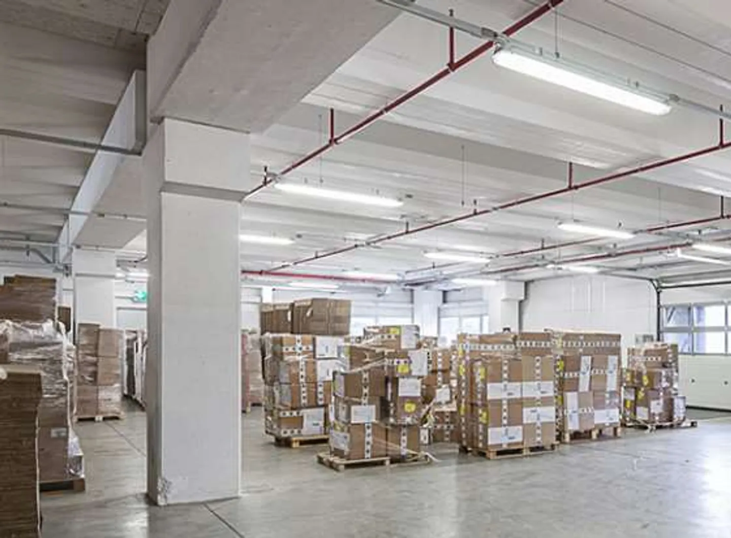 Propriété à louer : Espace logistique/Salle de stockage avec grande surface à Cadenazzo - Photo 4 sur 8