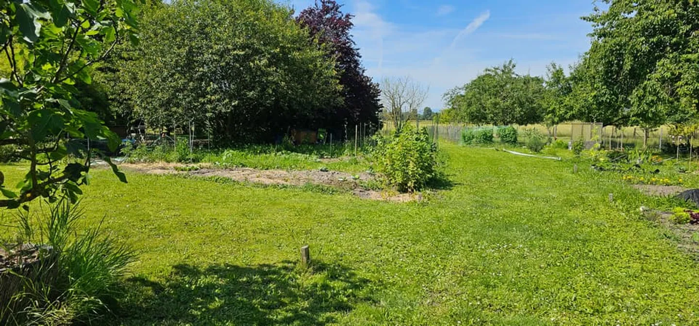Parcelles de jardin exceptionnel au Landeron - Foto 2 di 4