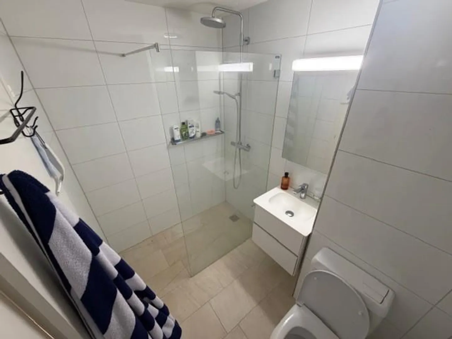 Appartement lumineux de 2,5 pièces avec accès direct au lac, balcon et vue sur le lac - Photo 5 sur 6