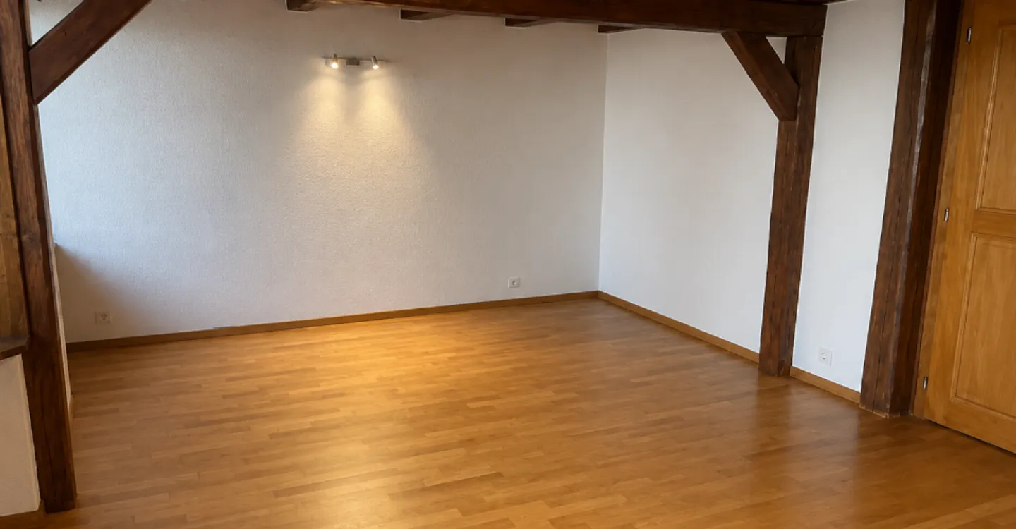 Charming Studio in Mont-sur-Lausanne - Photo 2 of 5