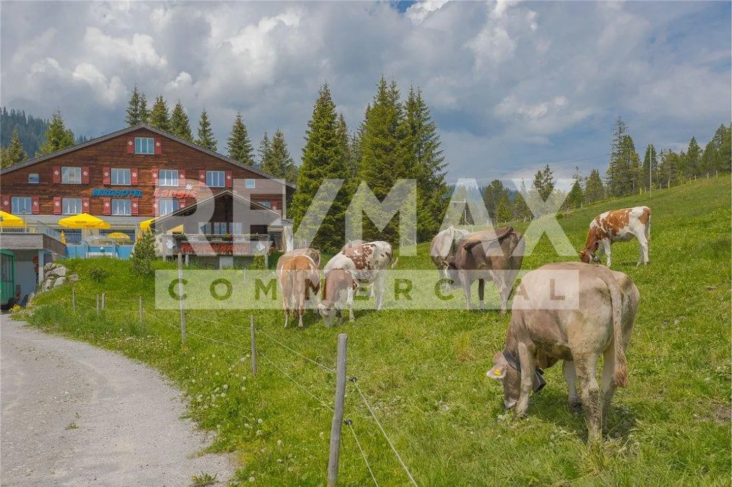 Charmantes Berghotel mit Wellness - Foto 1 von 13