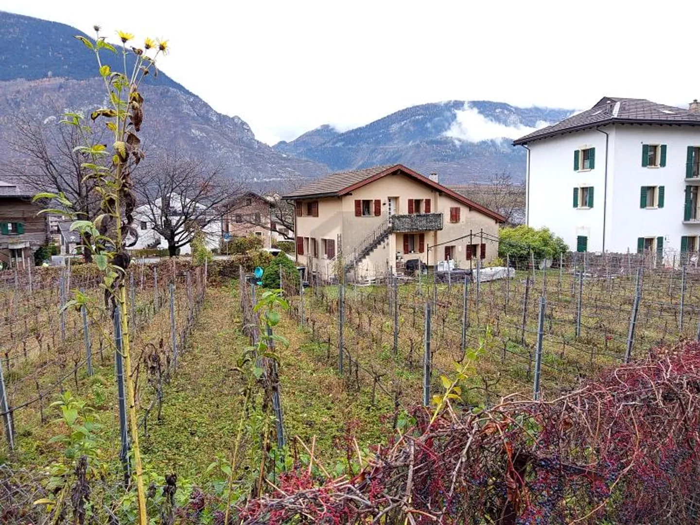 PROPRIÉTÉ AVEC TERRAIN À BÂTIR - Photo 1 sur 6