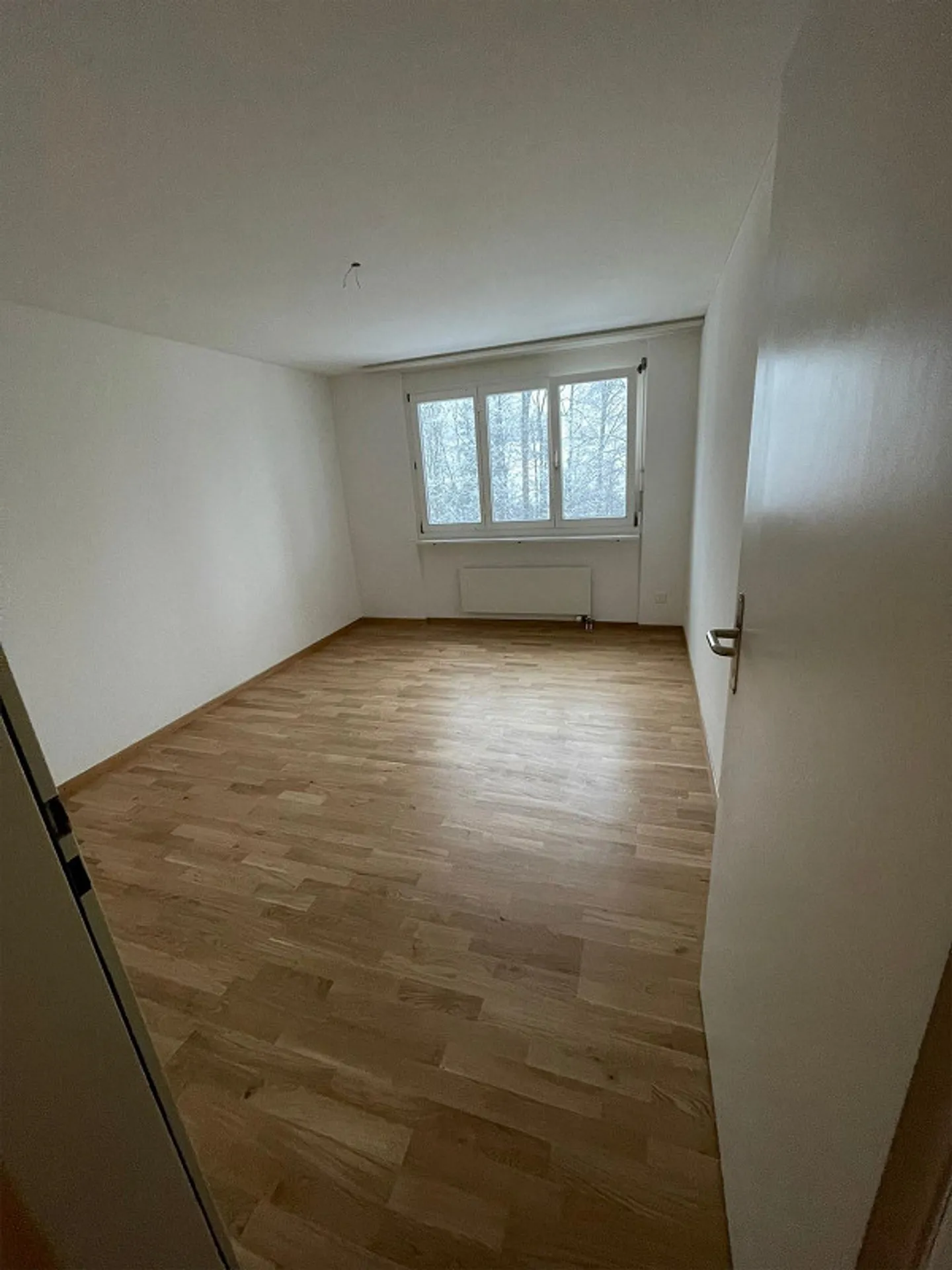 Beautiful and bright 4.5 room apartment - Photo 11 of 11