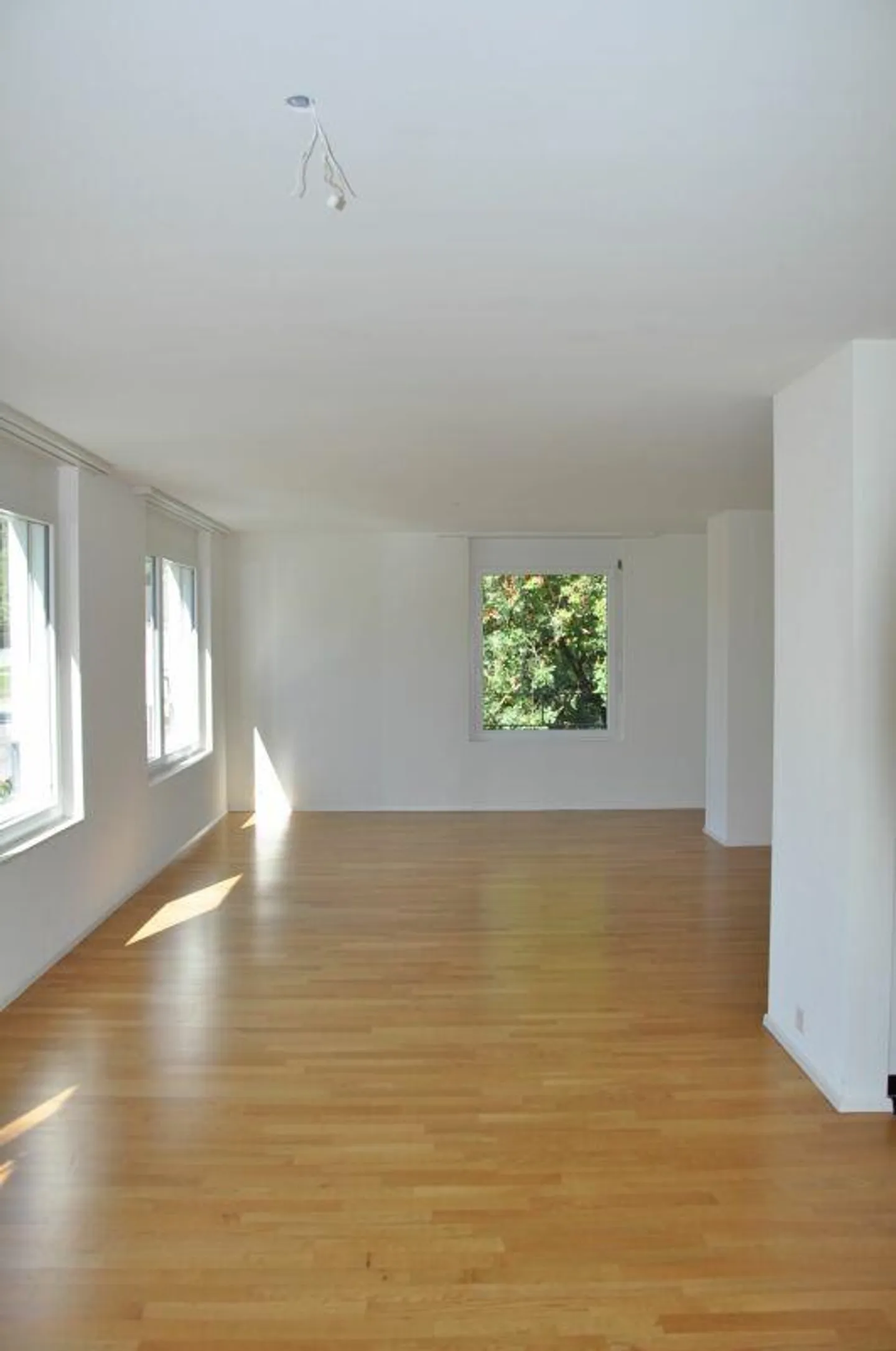 Spacious and Comfortable 4.5-Room Apartment with Modern Charm ... - Photo 6 of 17