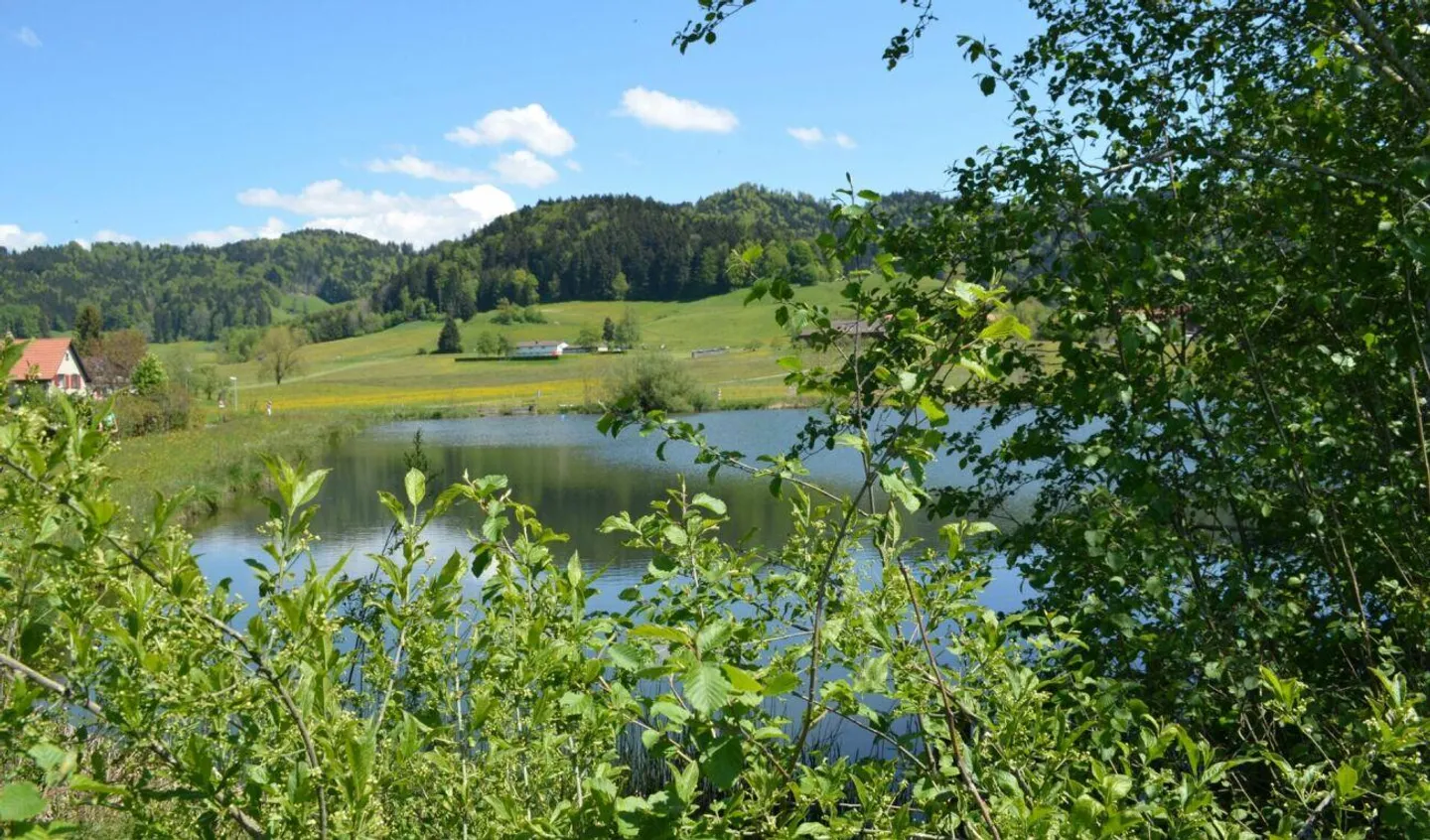 Spacious and Comfortable 4.5-Room Apartment with Modern Charm ... - Photo 16 of 17