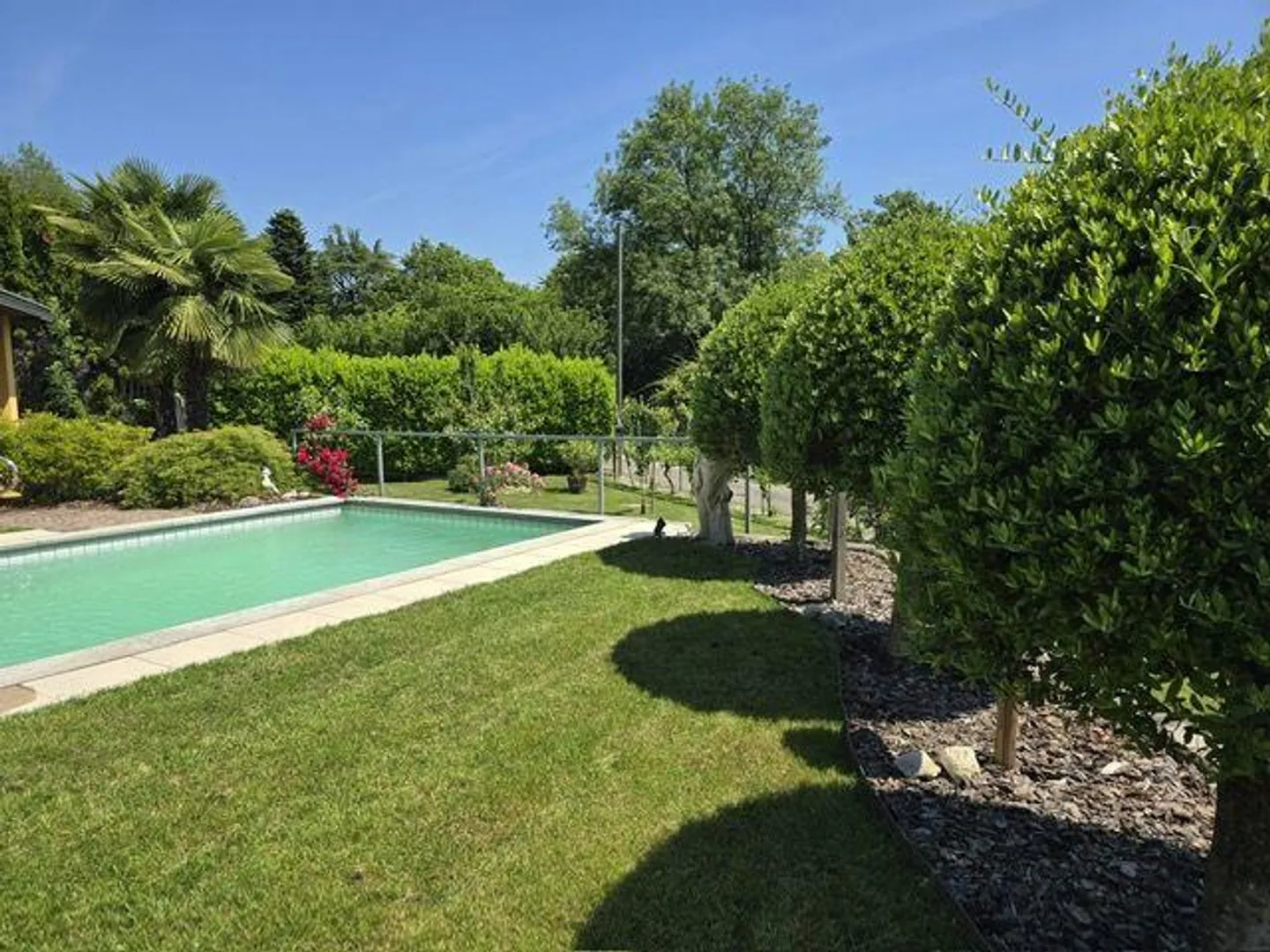 Villa esclusiva con piscina e giardino nel cuore di Lugano - Pura - Foto 3 di 13